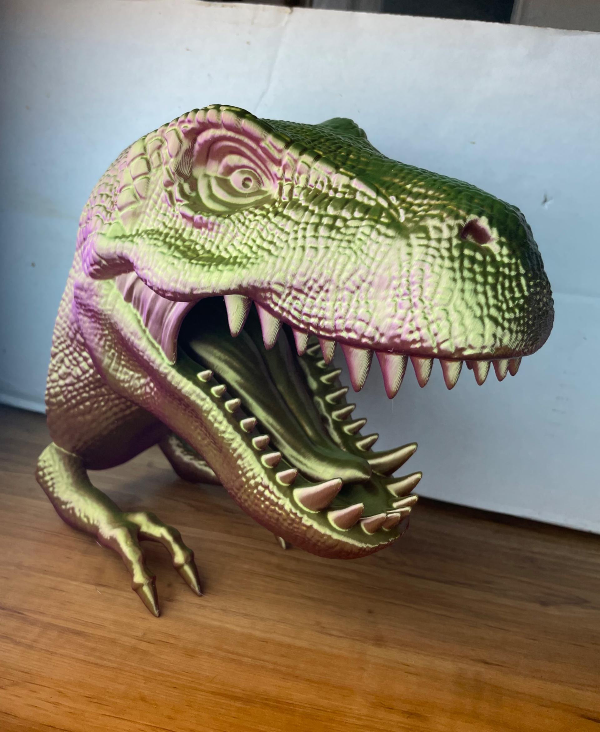 T-Rex Dinosaur Head Wall Mount Hanger / No Supports  - Printed in Polymaker Dual Silk - 3d model