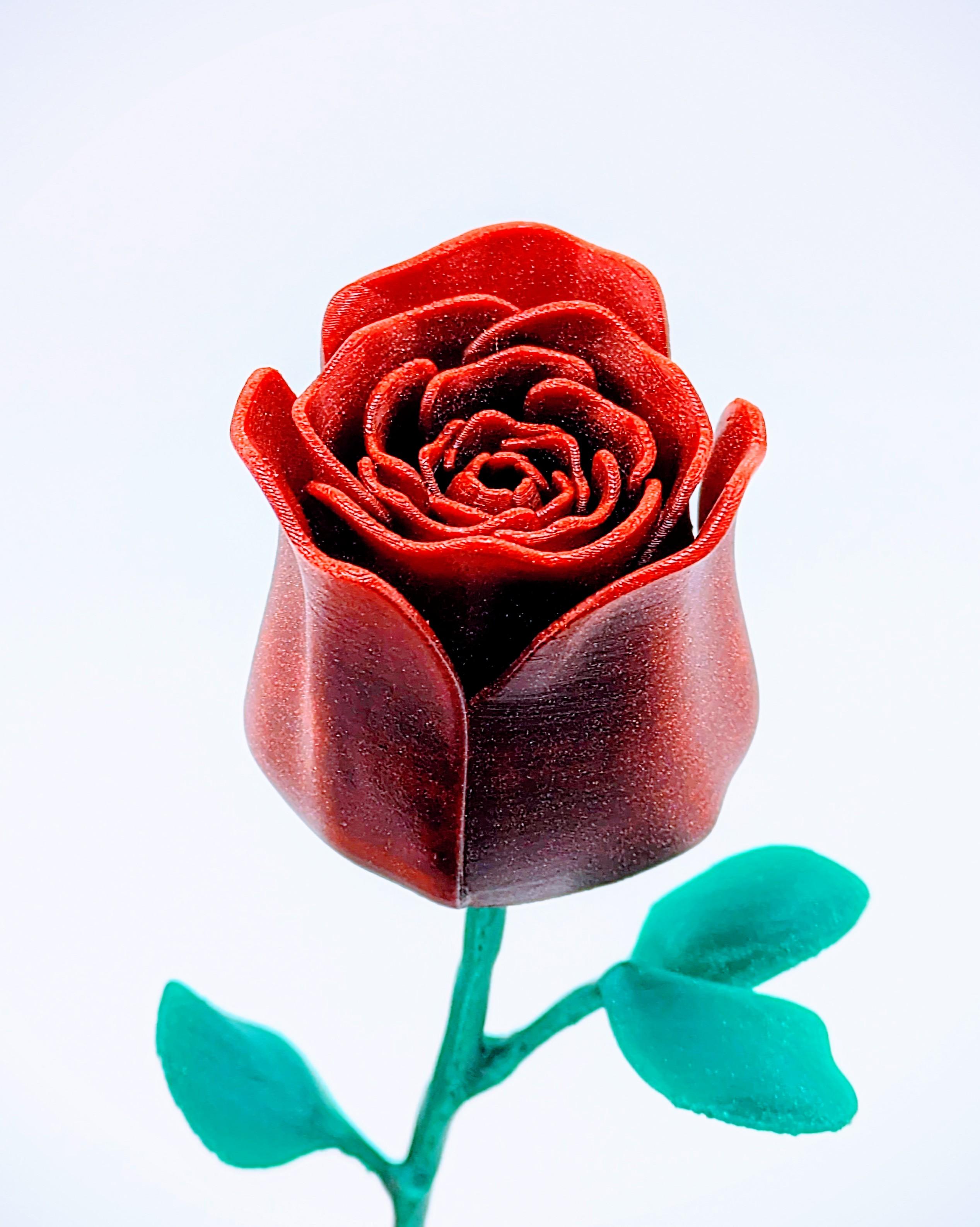 Rose 3d model