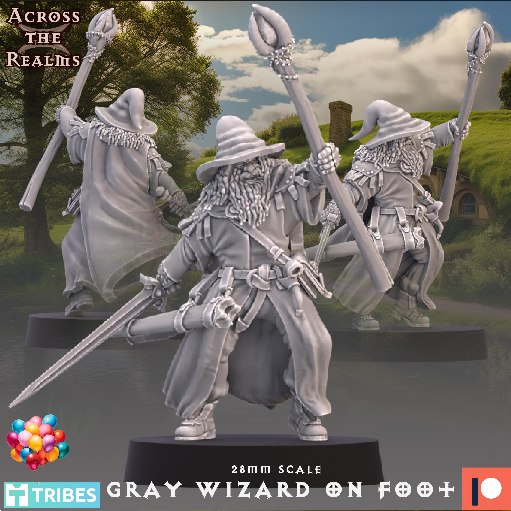 Grey Wizard 3d model
