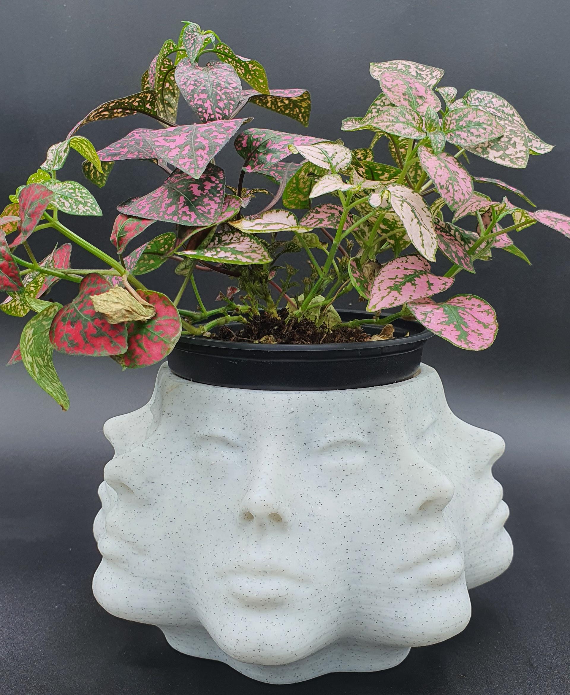 Multi Face Planter - Poly Face Planter No Supports 3d model