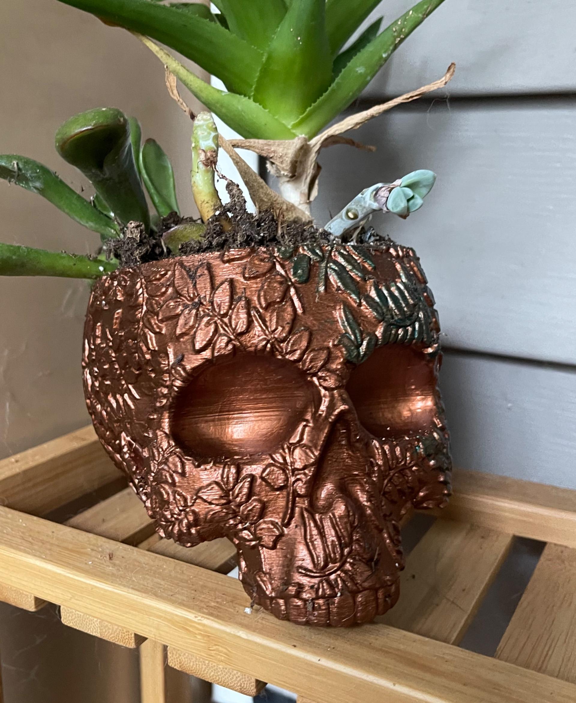 Fern Skull Planter-Bowl - Layer lines are not my friend - 3d model