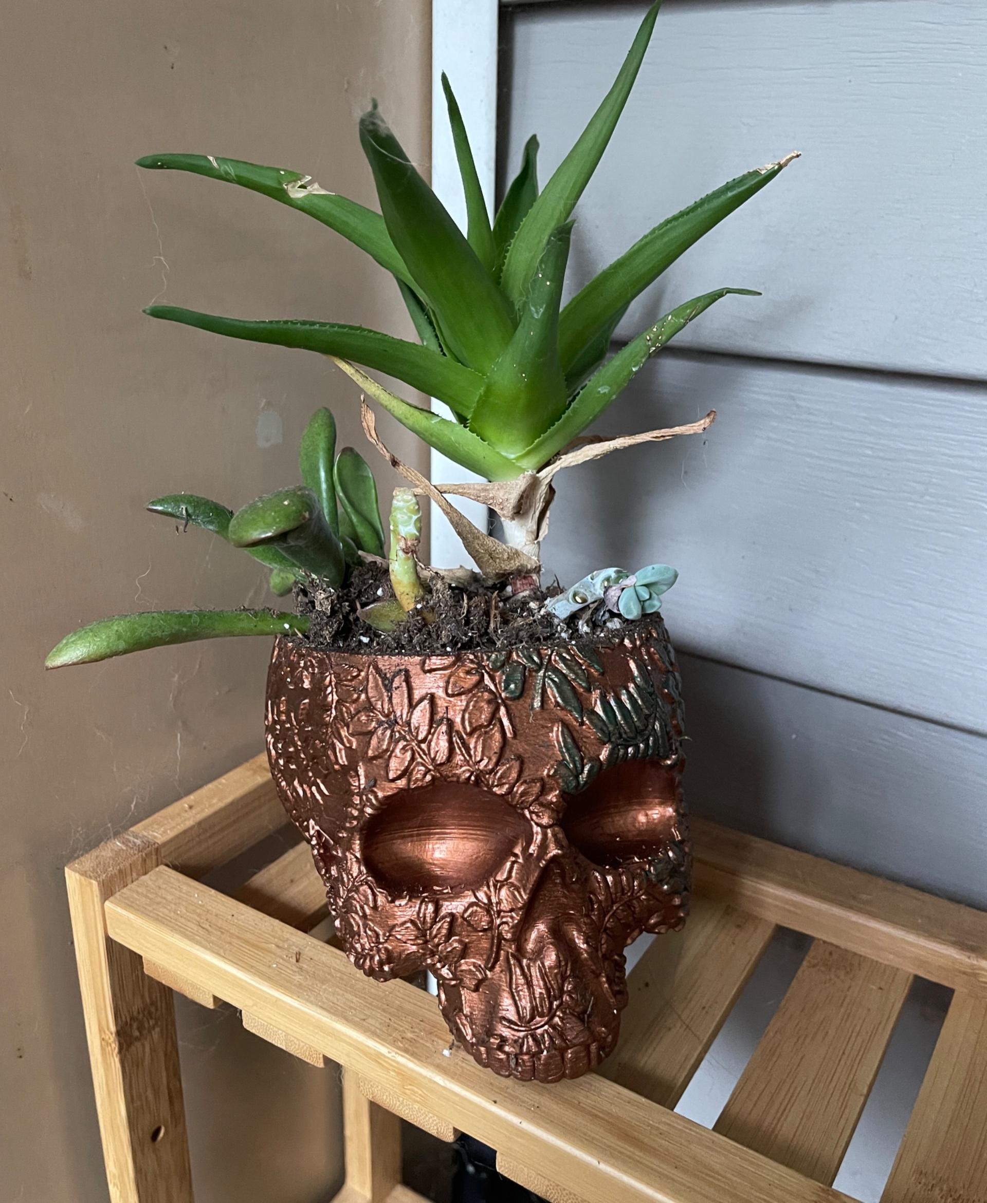 Fern Skull Planter-Bowl - Coated in a copper-based paint so that it oxidizes as it’s exposed to weather 💀 - 3d model