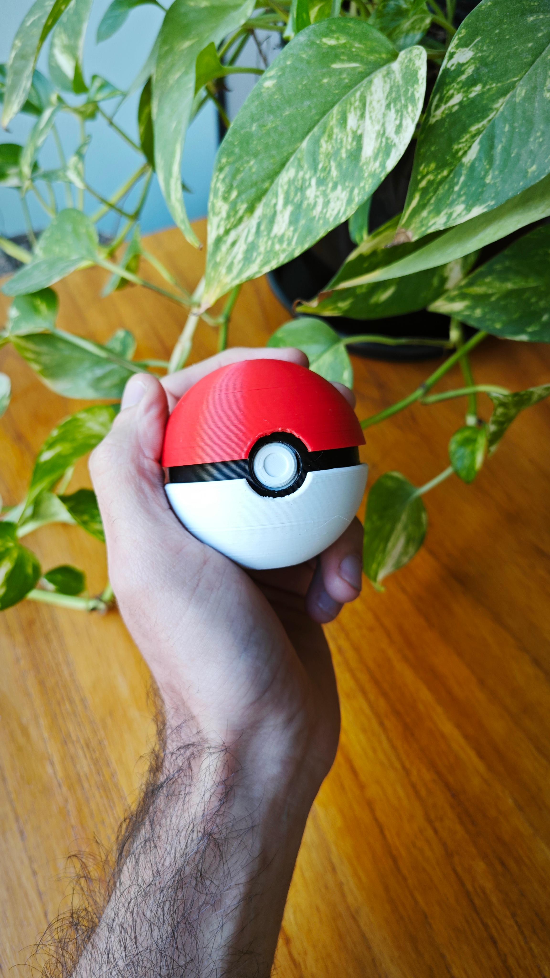 Pokeball Grinder 3d model