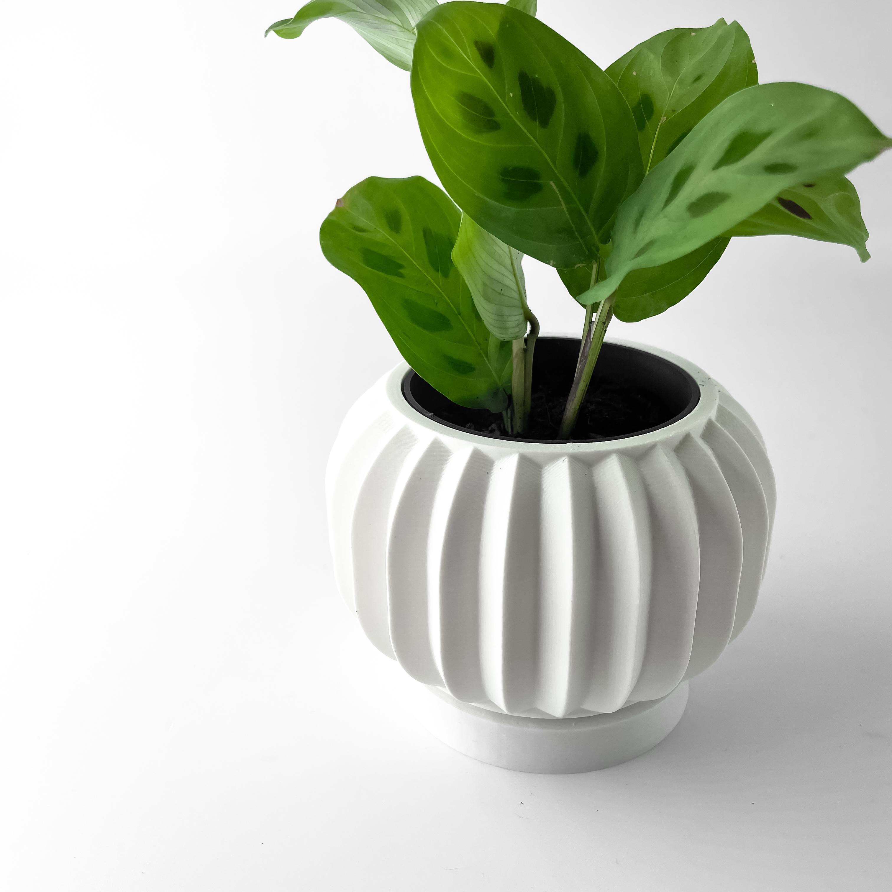 The Olin Planter Pot with Drainage Tray & Stand | Modern and Unique Home Decor for Plants 3d model