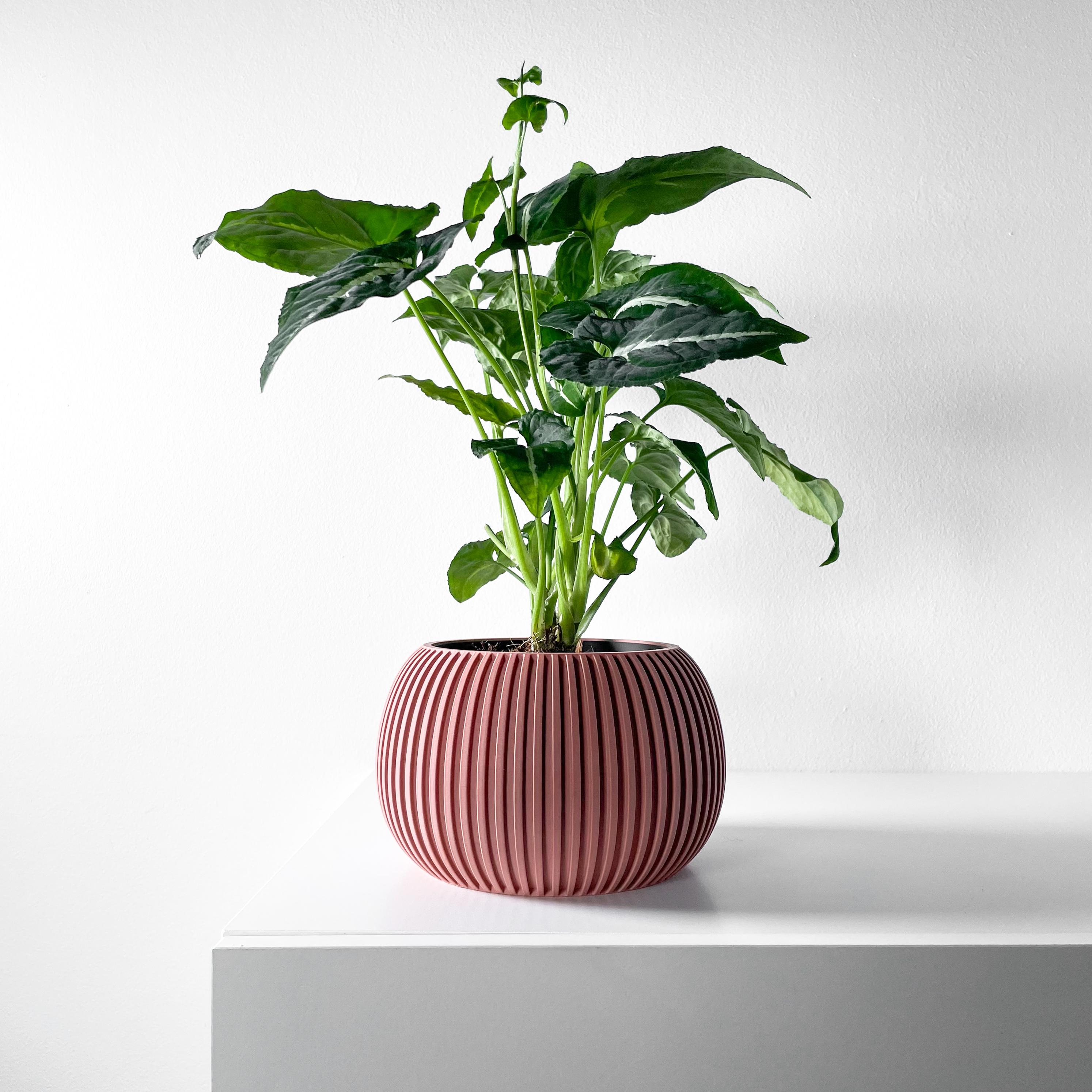 The Surno Planter Pot with Drainage Tray & Stand Included | Modern and Unique Home Decor 3d model