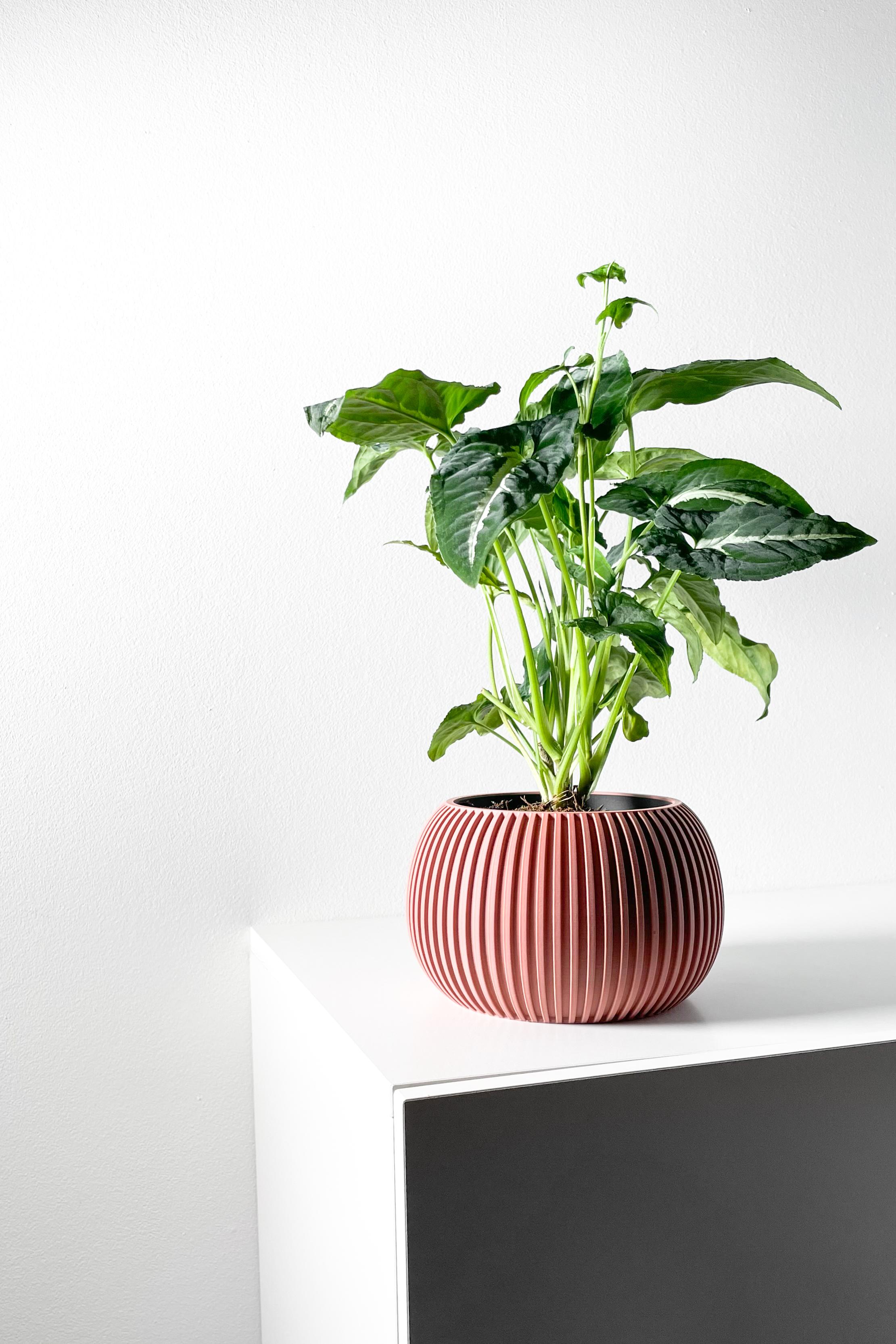 The Surno Planter Pot with Drainage Tray & Stand Included | Modern and Unique Home Decor 3d model