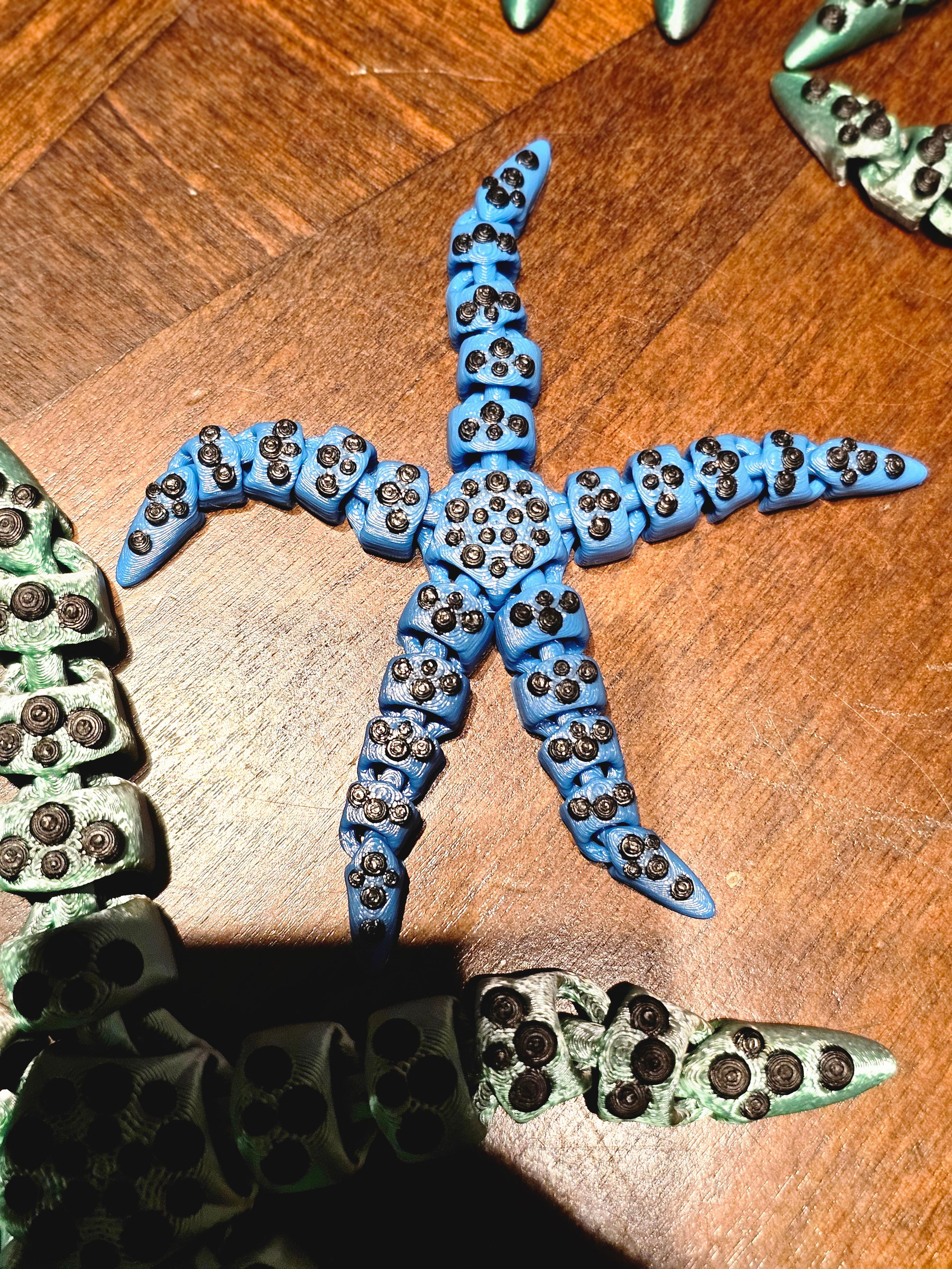 Tiny Starfish 3d model