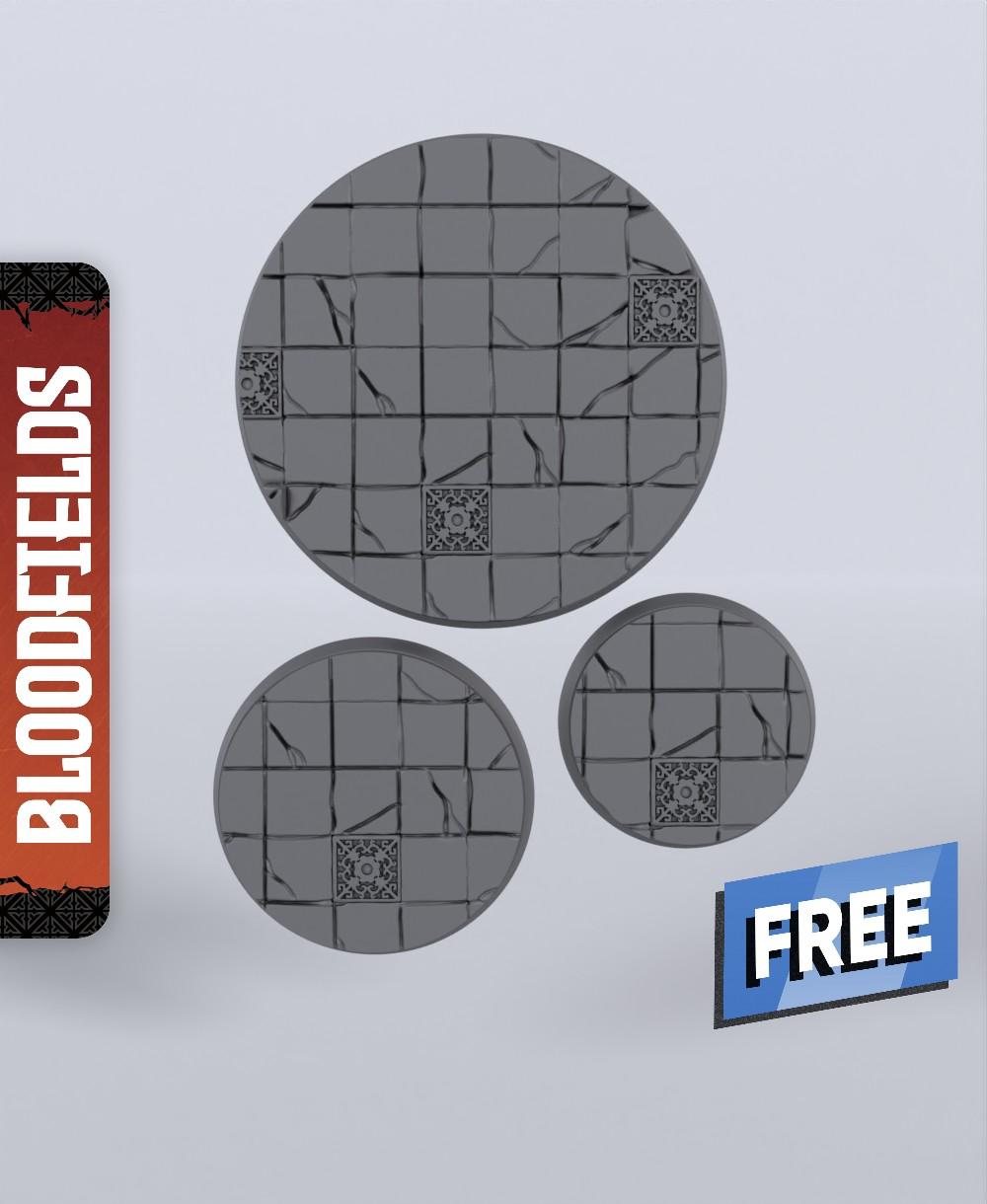 Basic Bloodfields Base Set - With Free Dragon Warhammer - 5e DnD Inspired for RPG and Wargamers 3d model