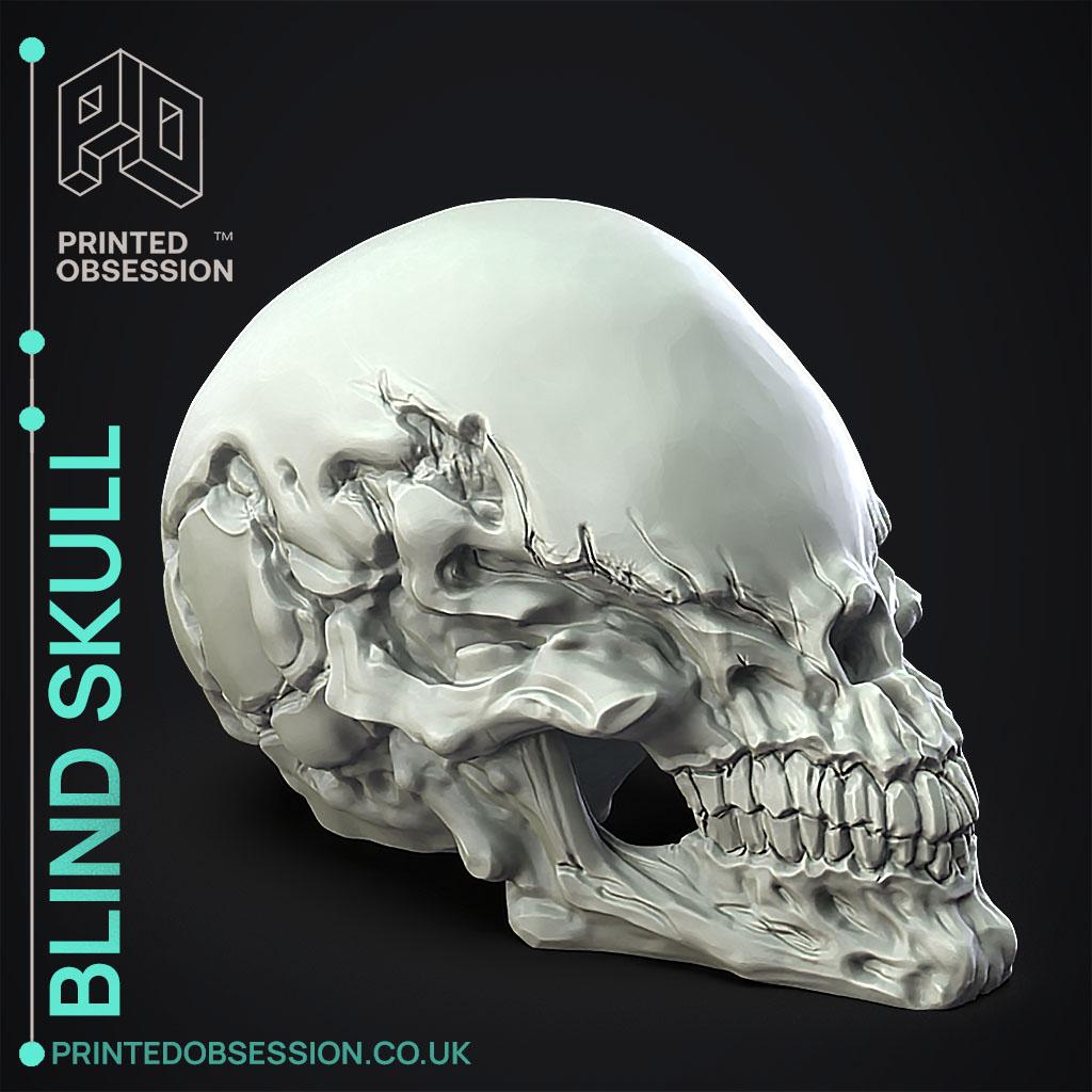 Blind Skull  3d model