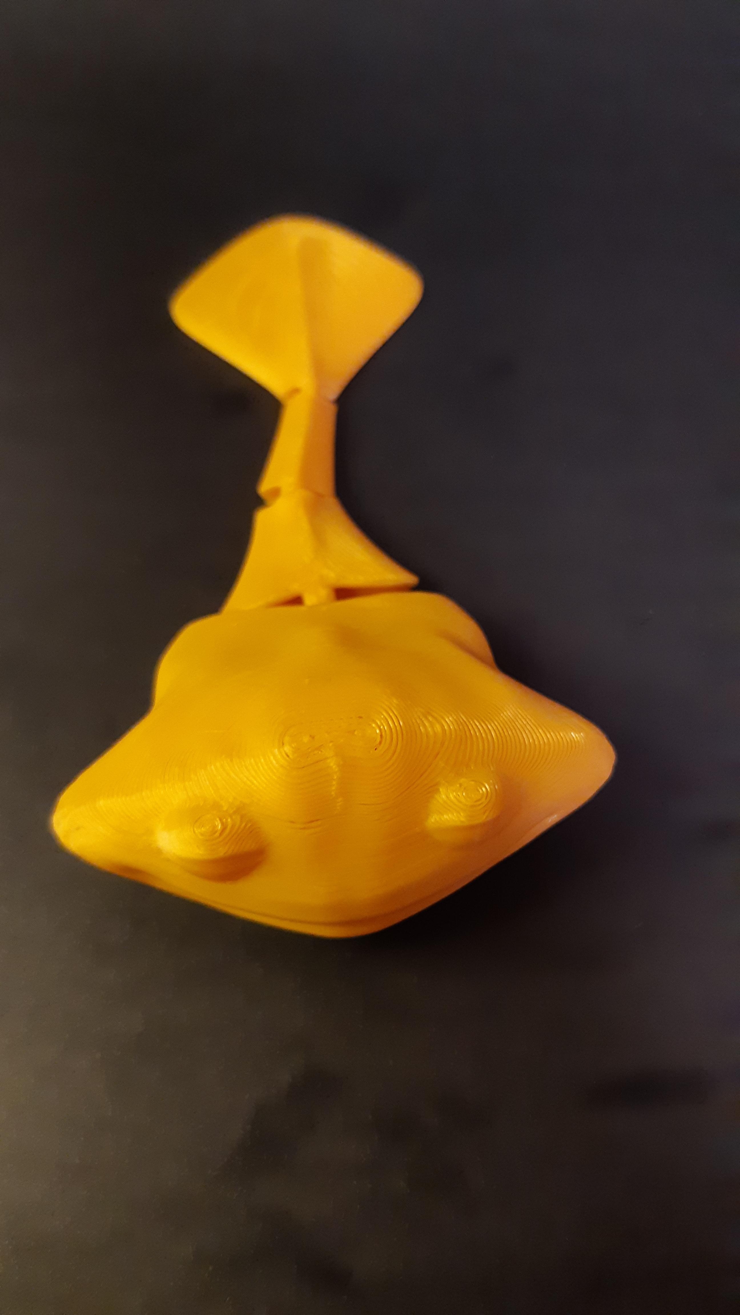 Simple Flexi Ray (Manta Ray / Sting Ray) Smiling - No Supports - Print in Place 3d model