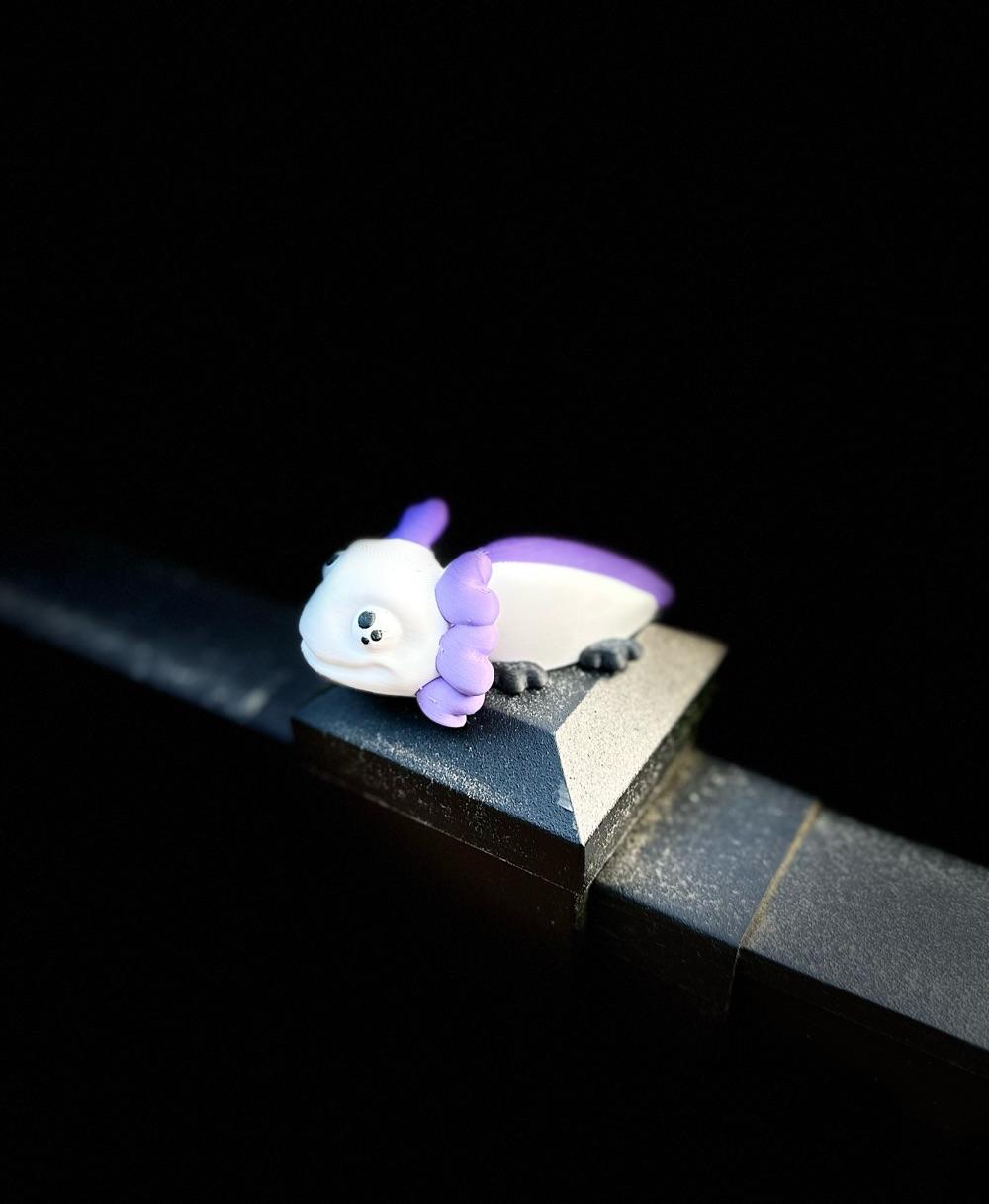 Fidget Toy Axolotl  (FUN!) 3d model