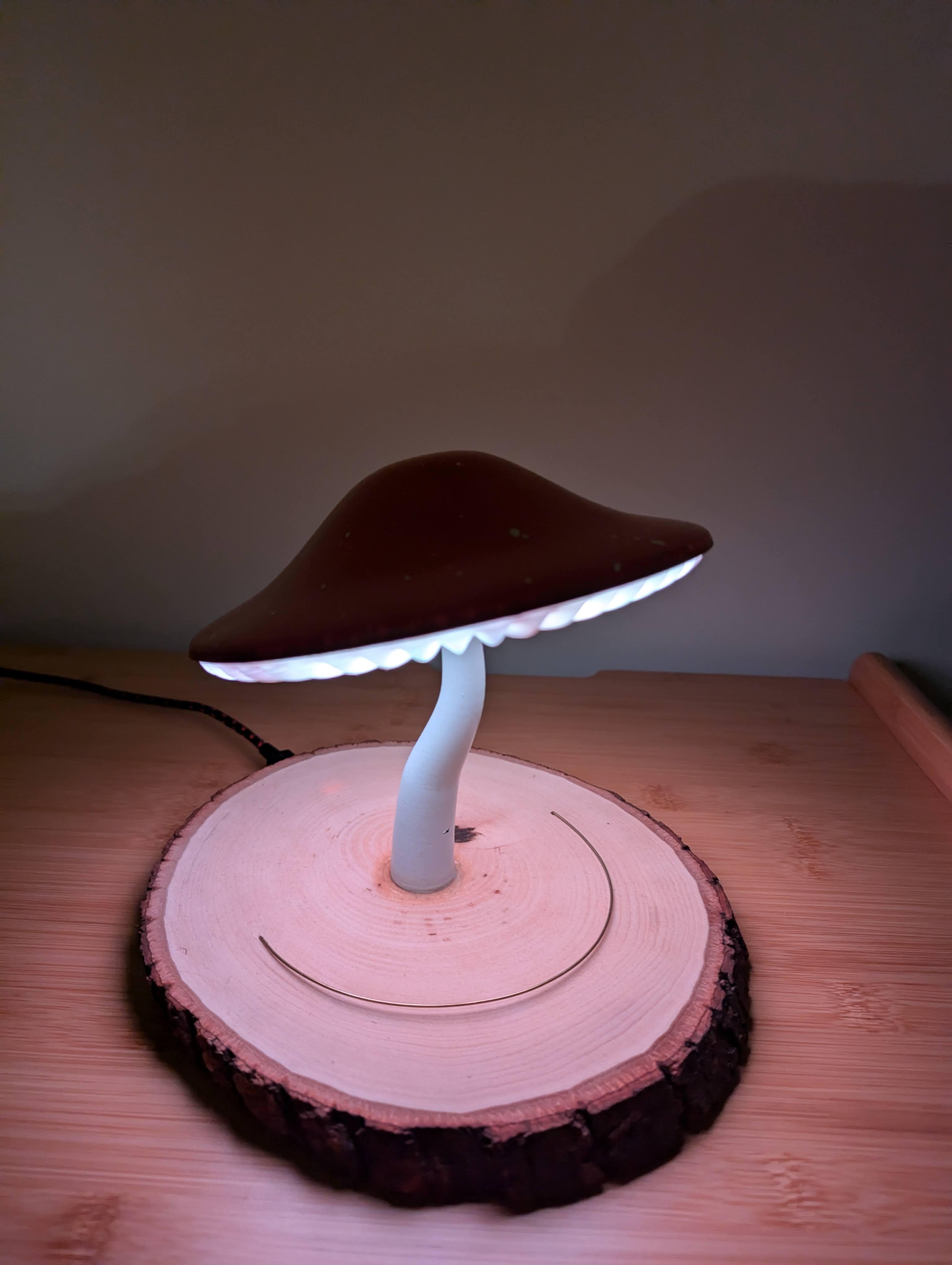 Mushroom Lamp 3d model