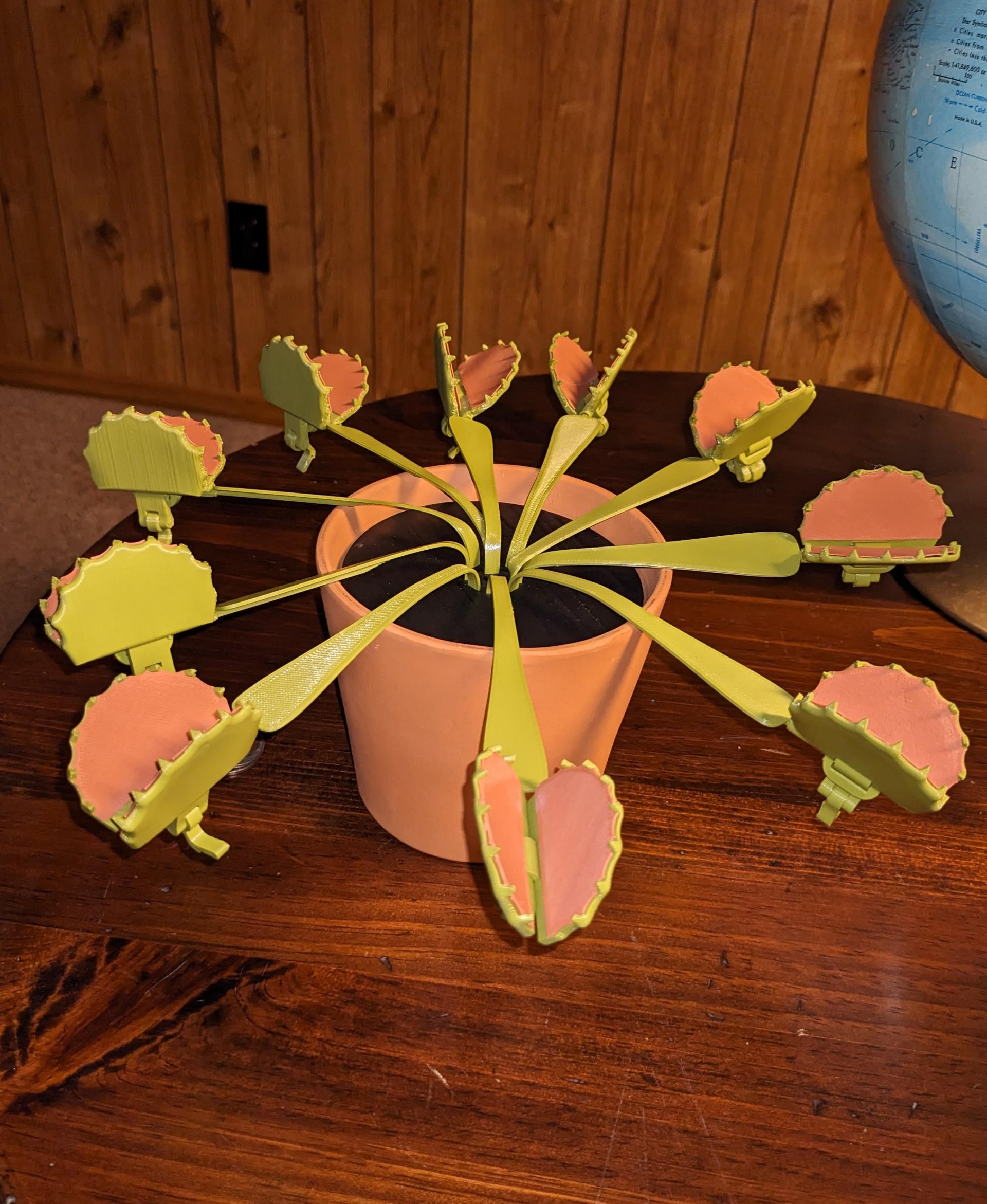 Venus Flytrap Snack Clips - Finally done! Took me WEEKS to get my printer refurbished and calibrated but I really wanted to make some of these plant prints.  - 3d model