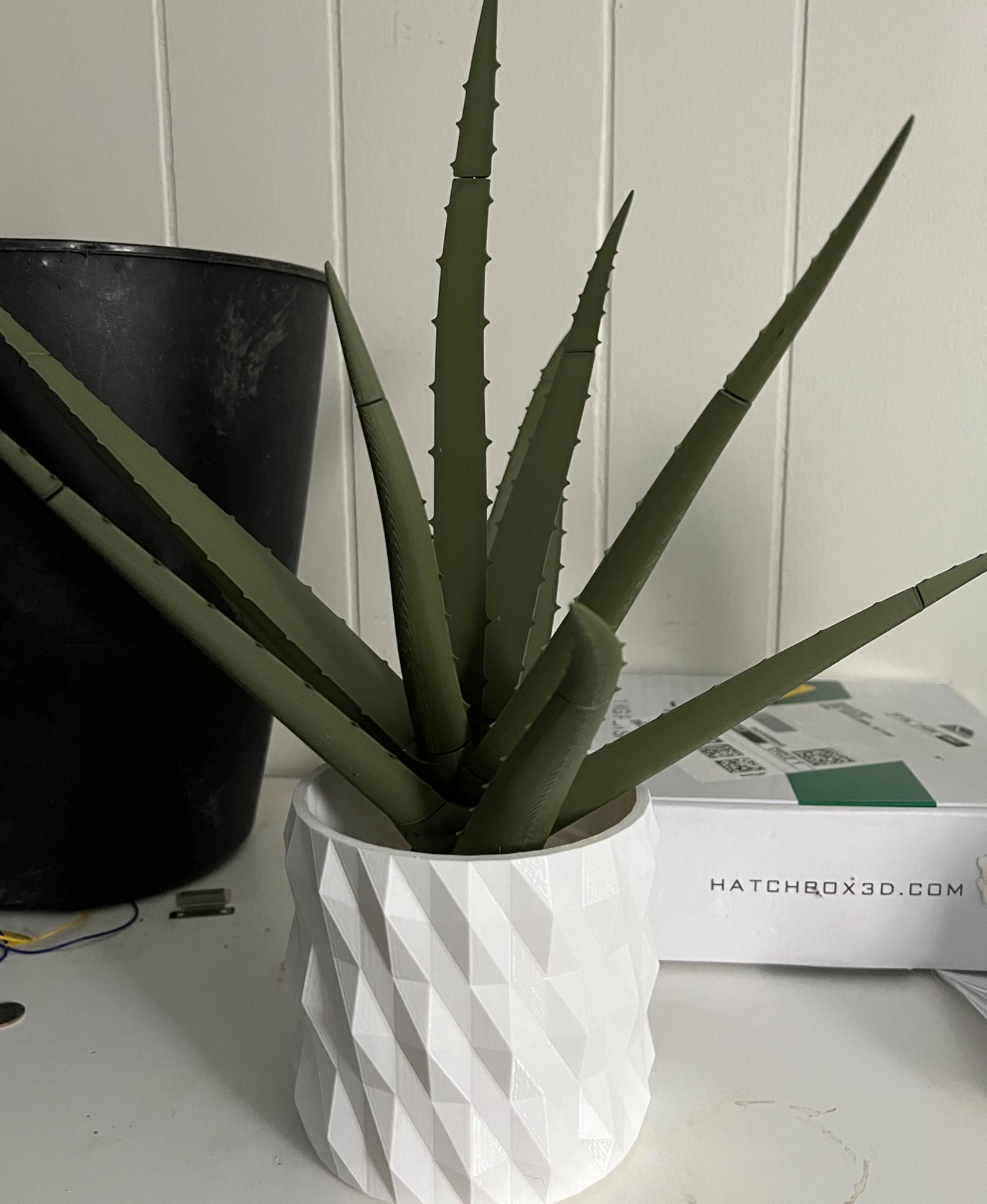 Aloe Vera Pen Plant - Printed with Hatchbox white pla and Eryone olive green pla. Opted to paint the spots on later tos ave filament. I didn’t have any red clay-like filament so I made my own white geometric planter that I scaled to fit the insert in blender. 
Tips: Hit the stem holes with a heat gun on low for maybe 10 secs each to make it easier to get the pens down in them. 
Bore out the caps with a small rasp/file or exactly knife for a better fit. I’ve still got a few to fine tune. 
Once you get magnets in the base, give each installed magnet a pair and mark the outward face with a sharpie so you don’t install it wrong into the stem. 
Use a flat surface on a pair of pliers to persuade the magnets into the holes easier. 
If you dial in your printer this all fits together very well! I printed mine across an A1, an A1 Mini and a K1 Max and everything is fairly snug and lines up well. Great design! Kudos Forge! Thanks for sharing. - 3d model