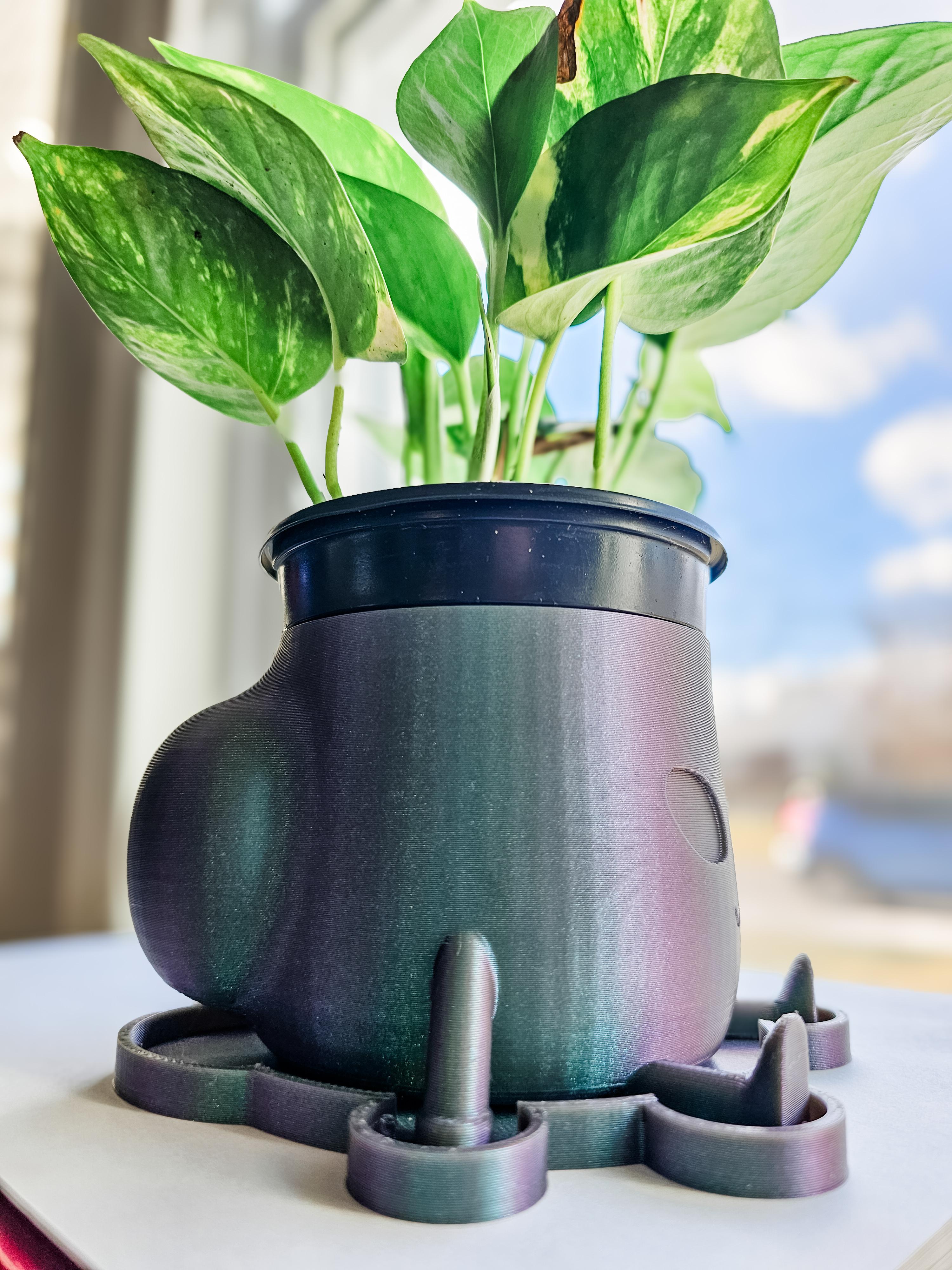 Alien Big Booty Planters 3d model