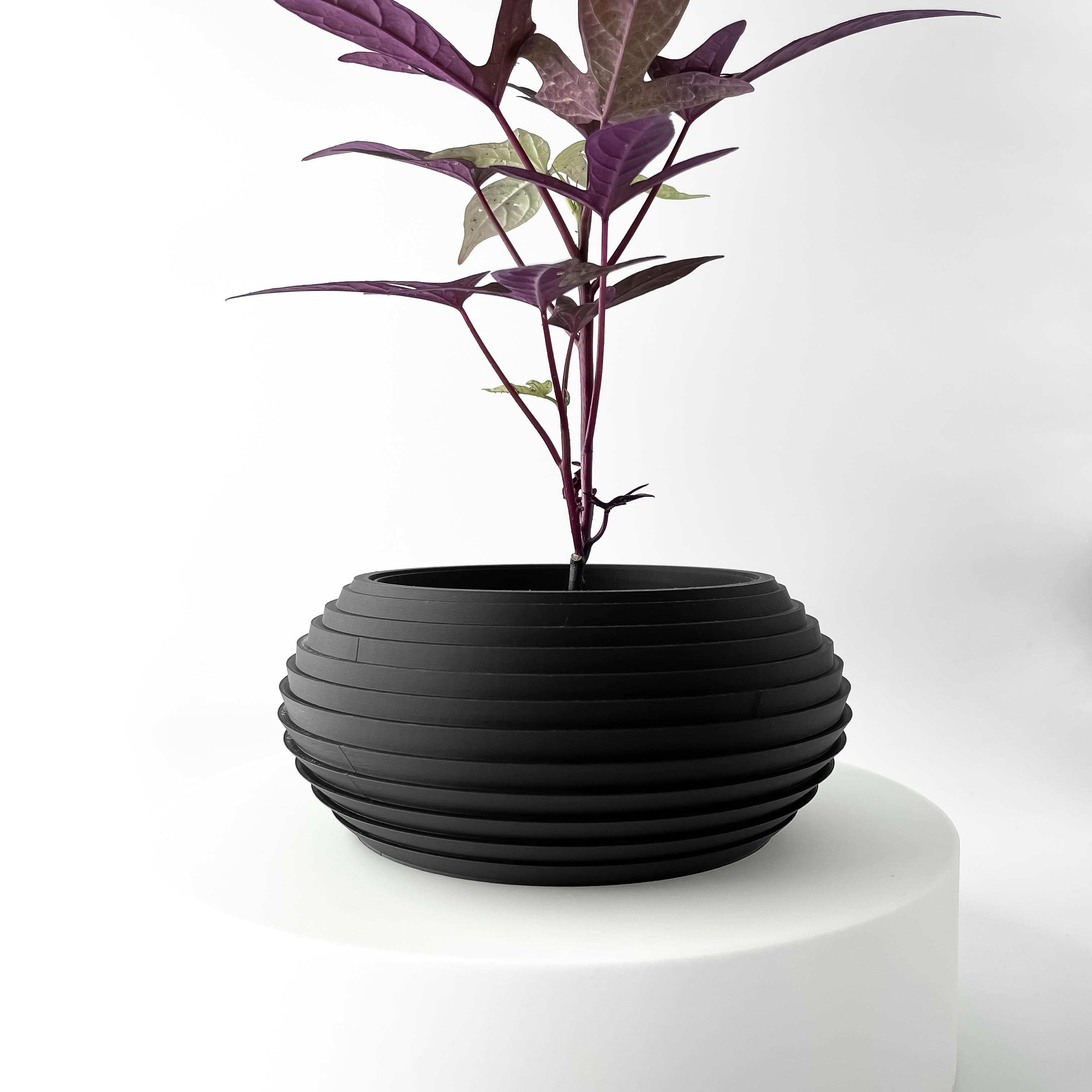 The Frons Planter Pot with Drainage Tray & Stand Included | Modern and Unique Home Decor 3d model