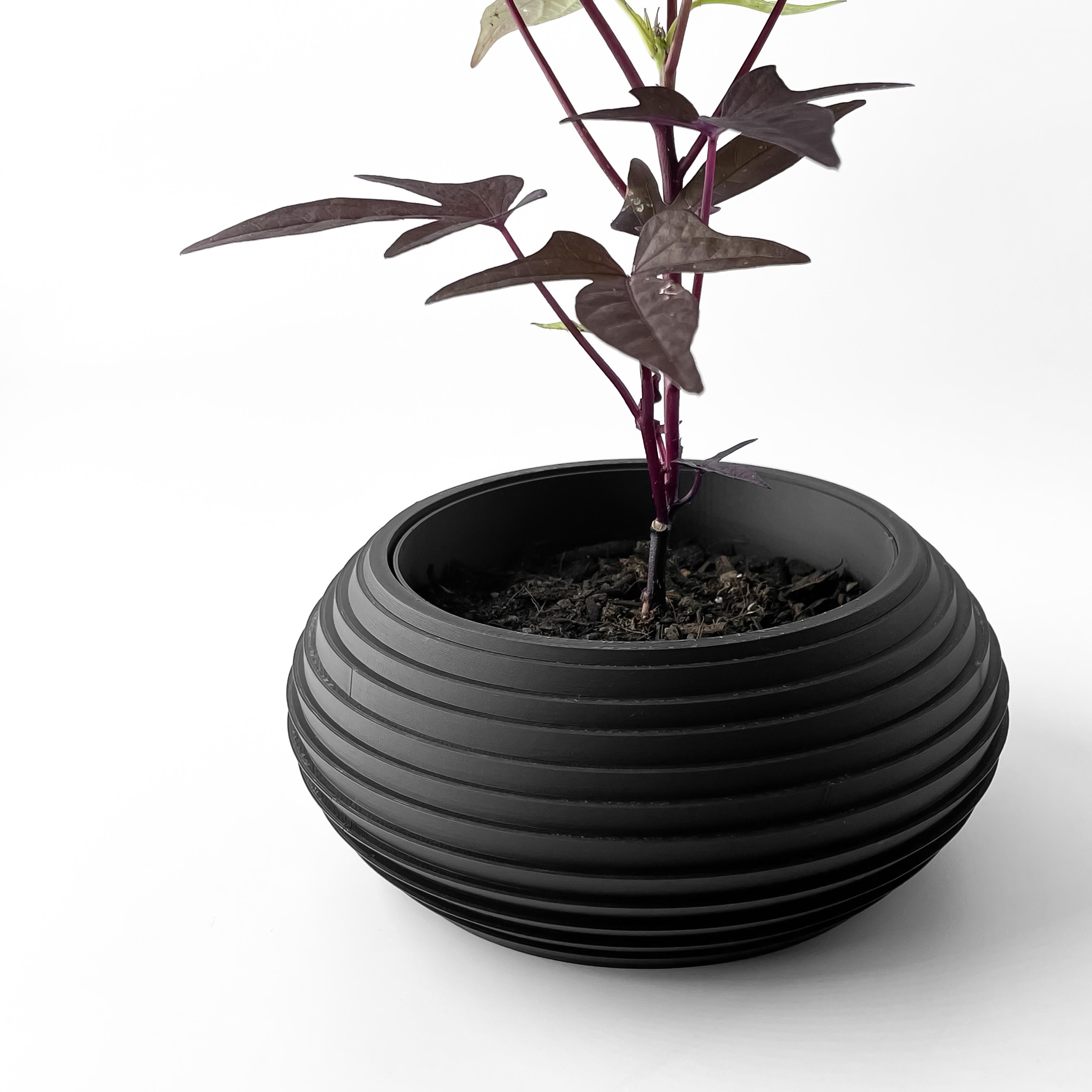 The Frons Planter Pot with Drainage Tray & Stand Included | Modern and Unique Home Decor 3d model