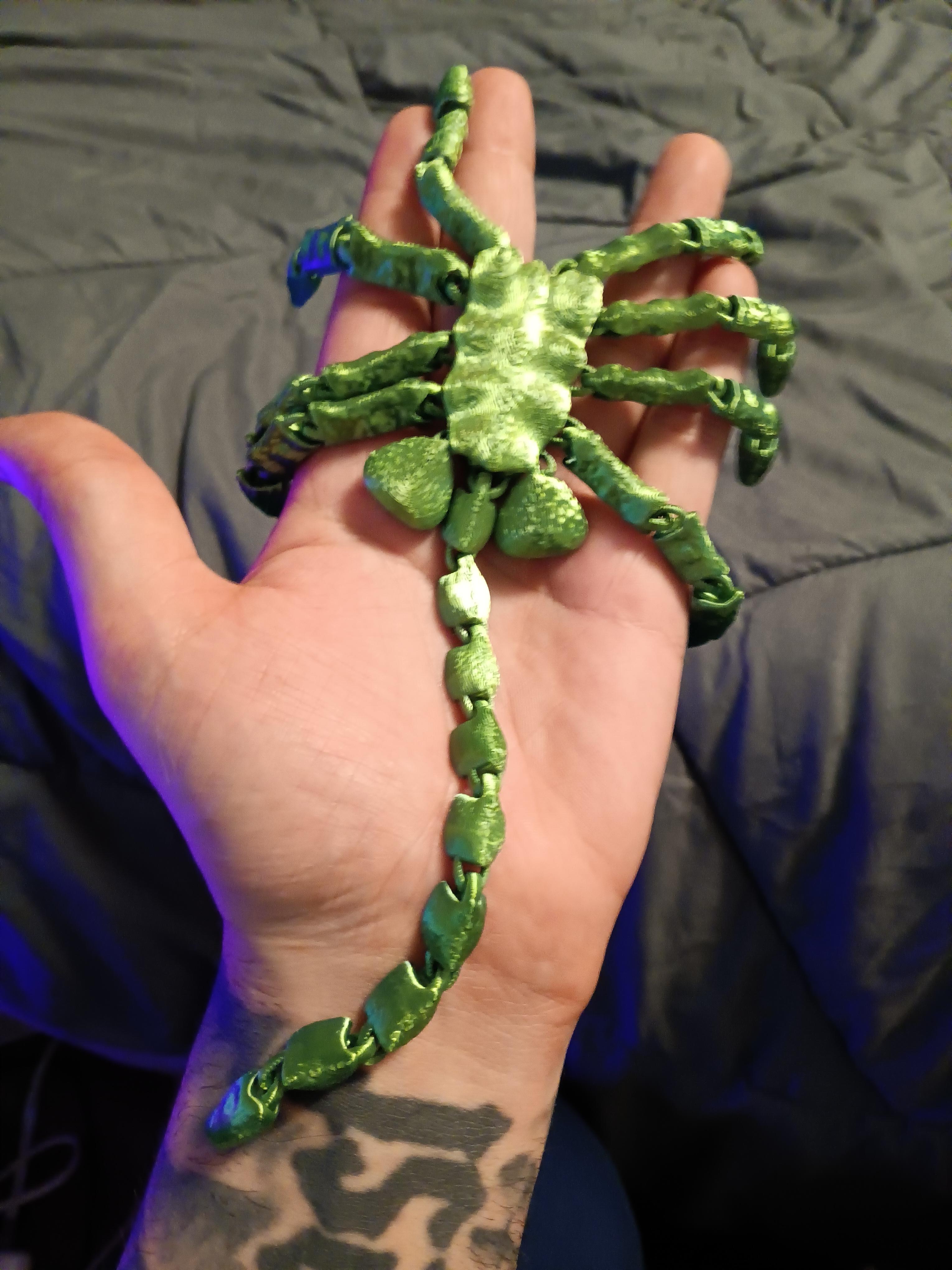 Articulated Facehugger - Flexi Fidget toy - print in place Higher Texture version 3d model