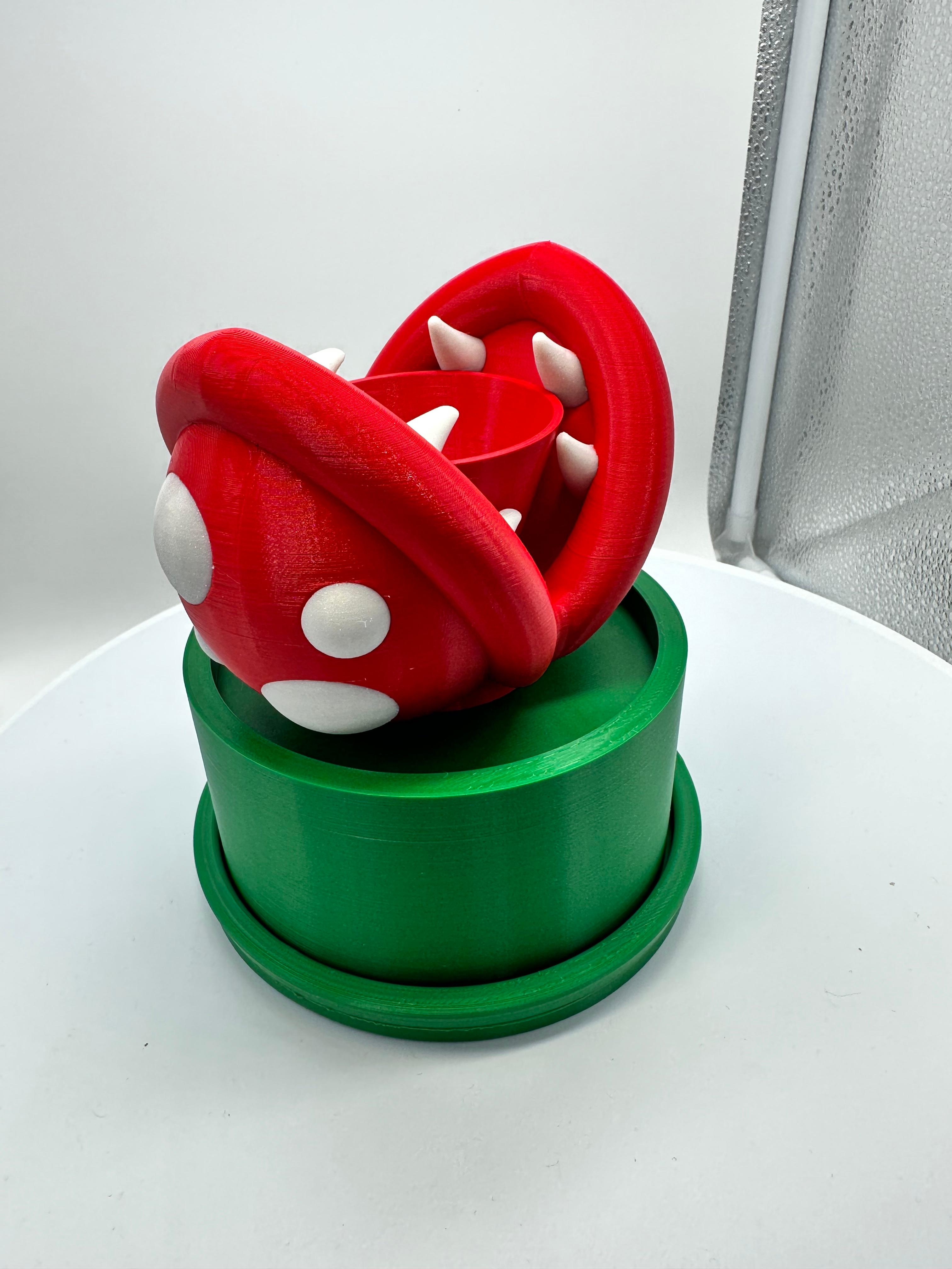 Mario Piranha Succulent or Plant Pot 3d model