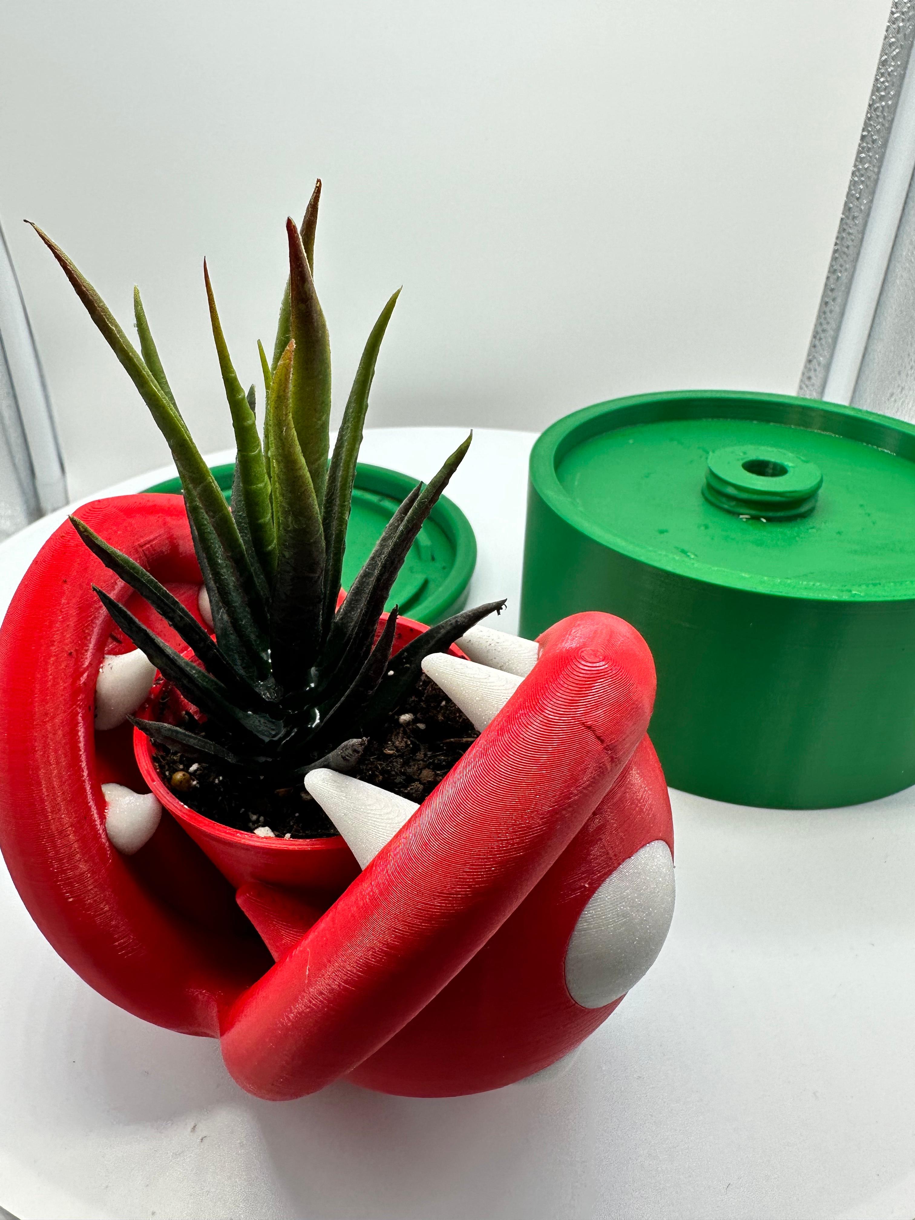 Mario Piranha Succulent or Plant Pot 3d model