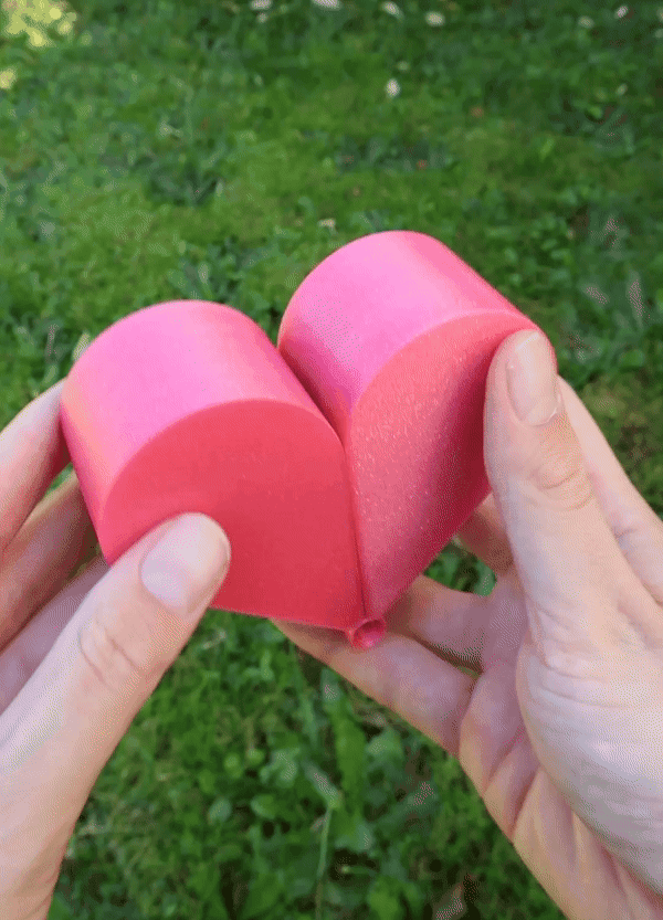 Heart Ring Box 3d model