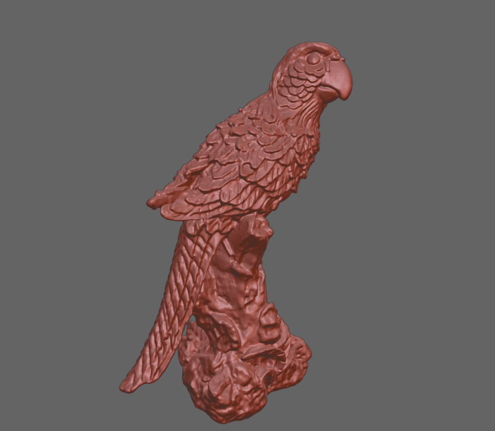 parrot 3d model