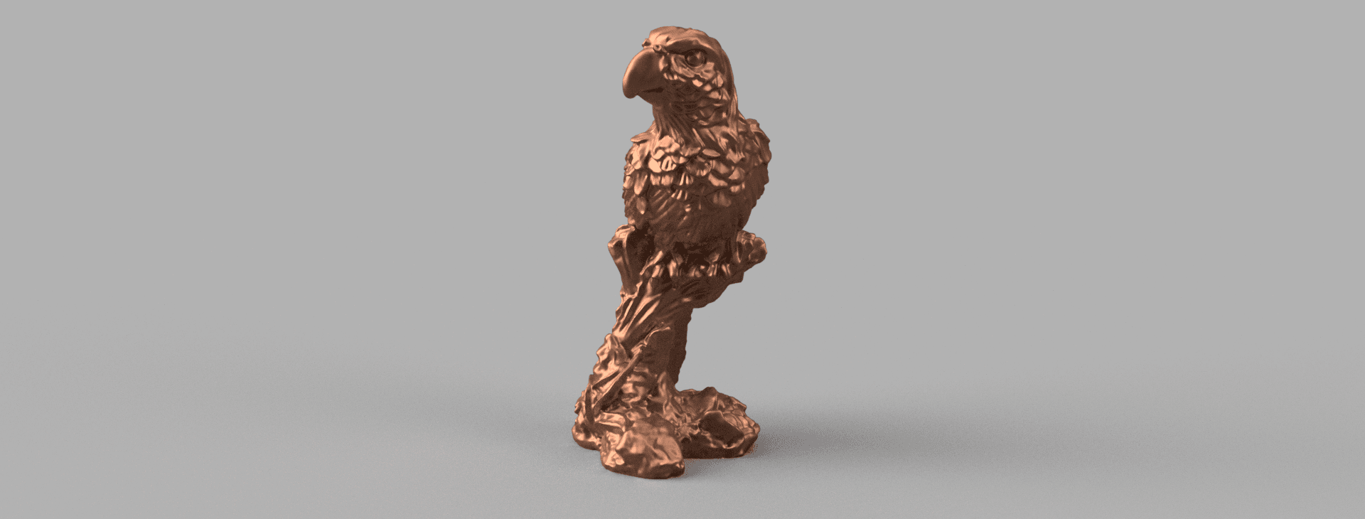 parrot 3d model