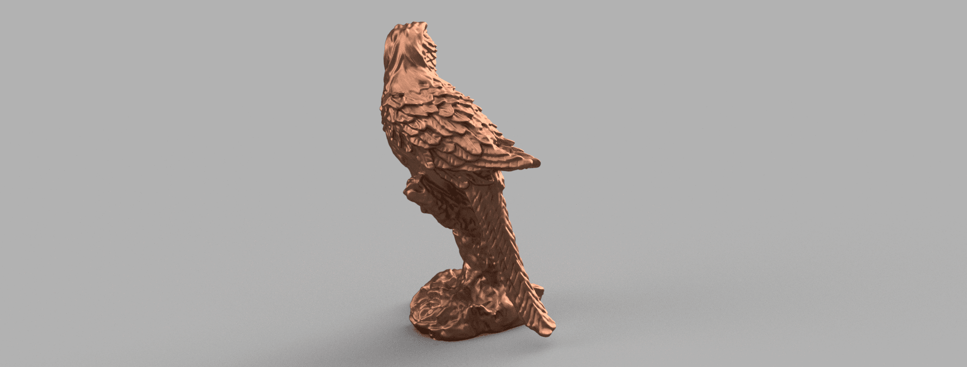 parrot 3d model