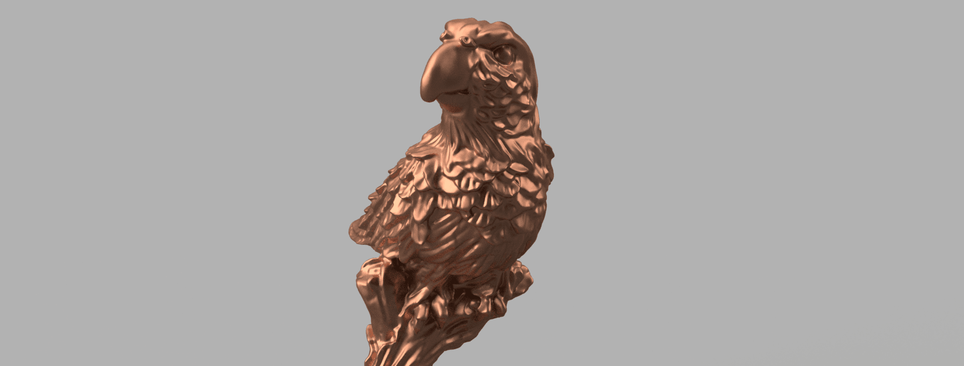 parrot 3d model