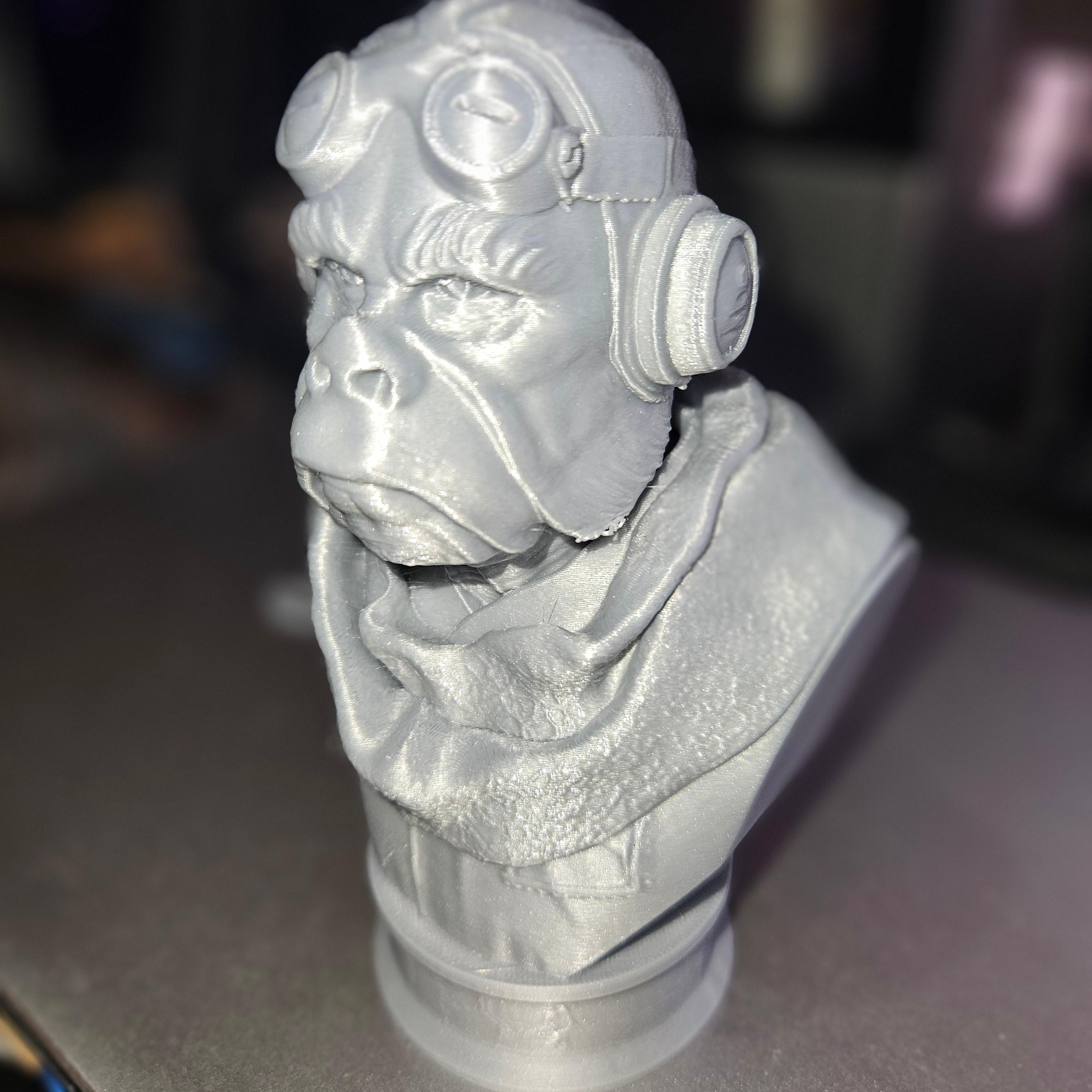 Kuiil Bust (Pre - wonderful model - 3d model