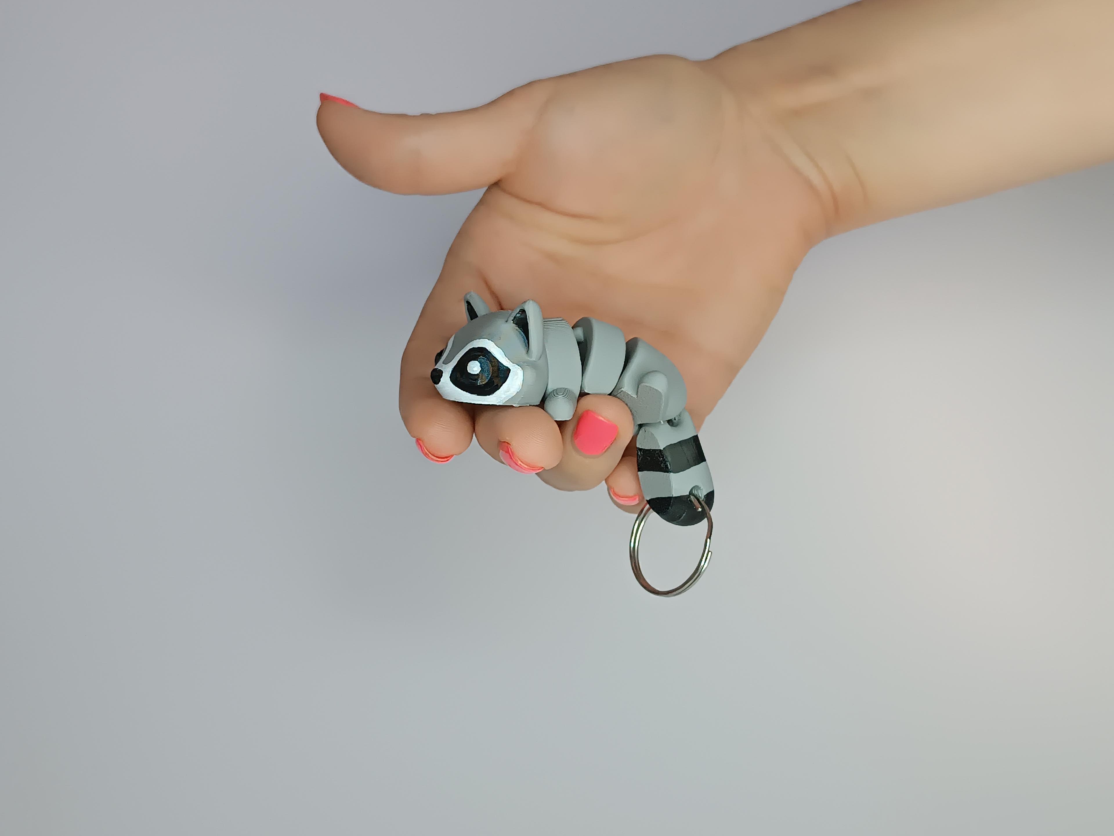 Cute Flexi Pets Raccoon (Keychain & Magnet) 3d model