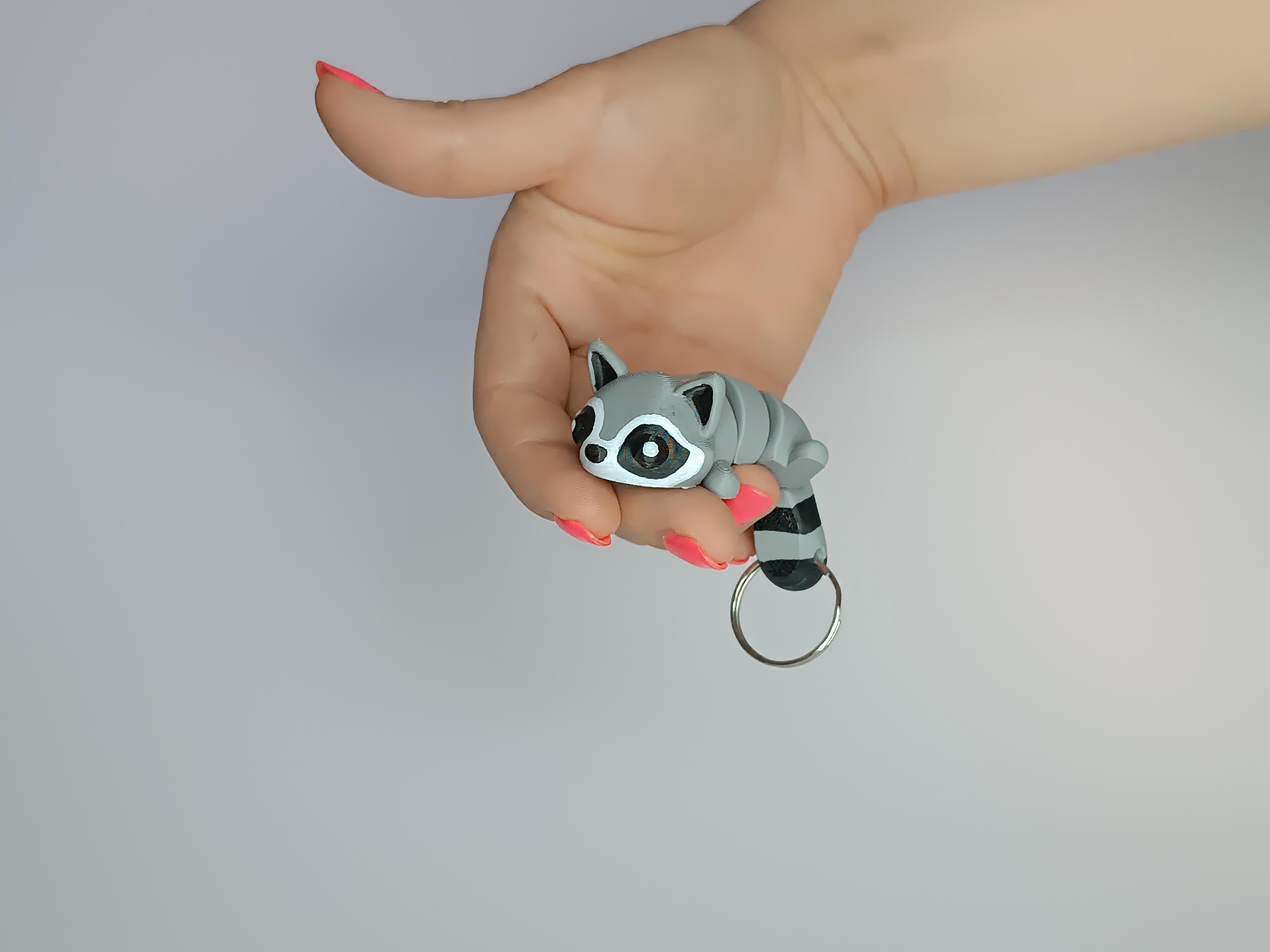 Cute Flexi Pets Raccoon (Keychain & Magnet) 3d model