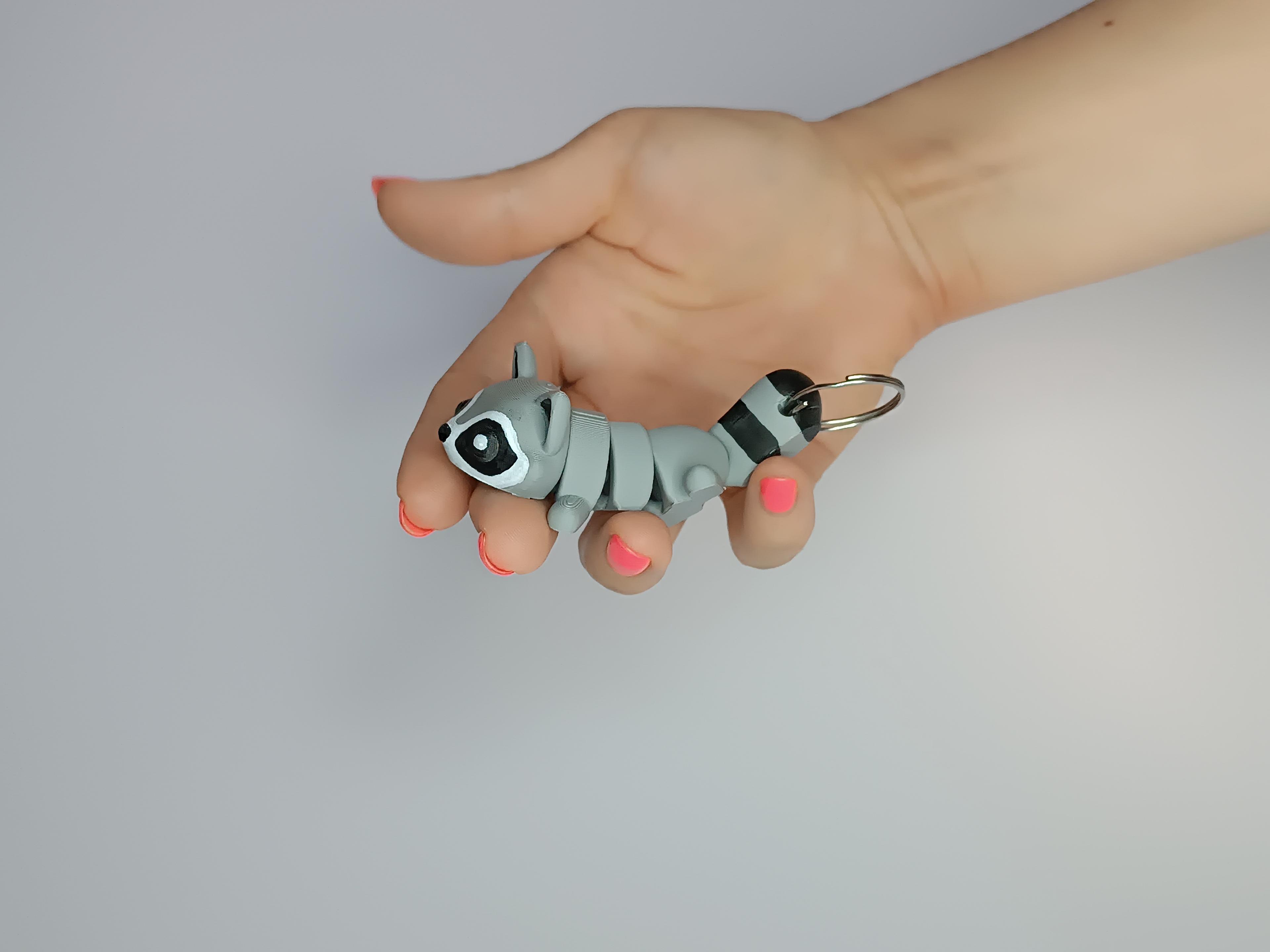 Cute Flexi Pets Raccoon (Keychain & Magnet) 3d model