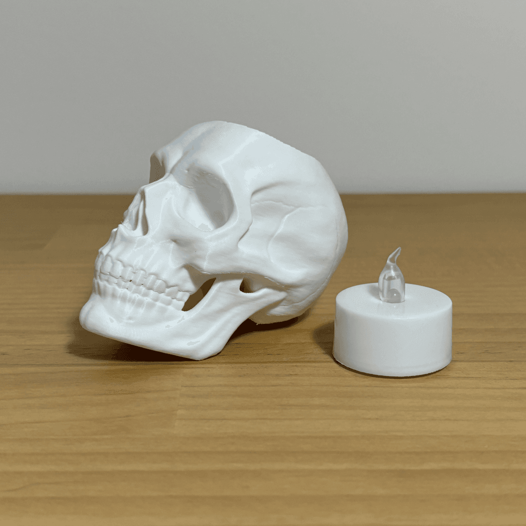 Skull Candle 3d model