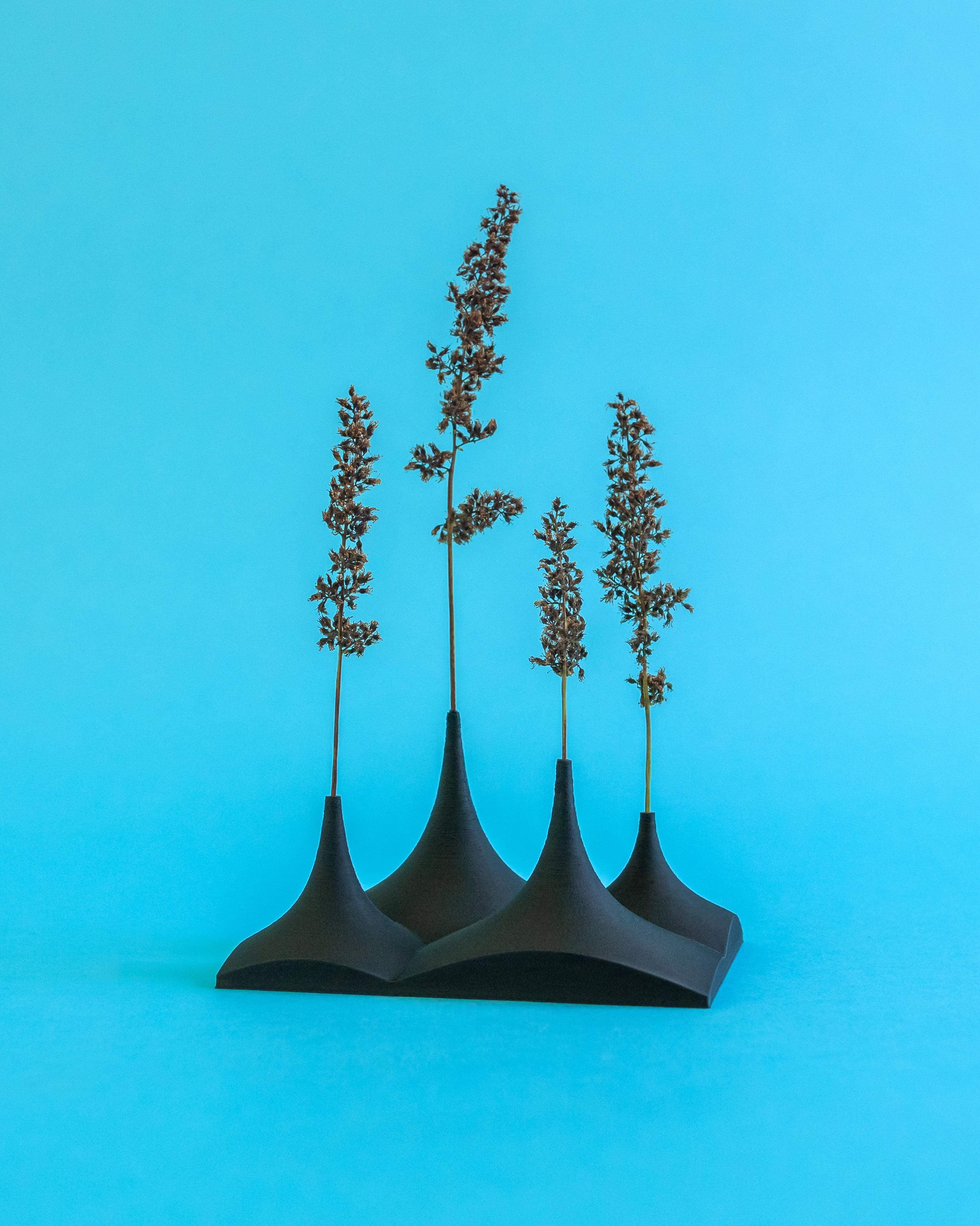 **FREEBIE** Little Twig Forest // Dried Plant Holder 3d model