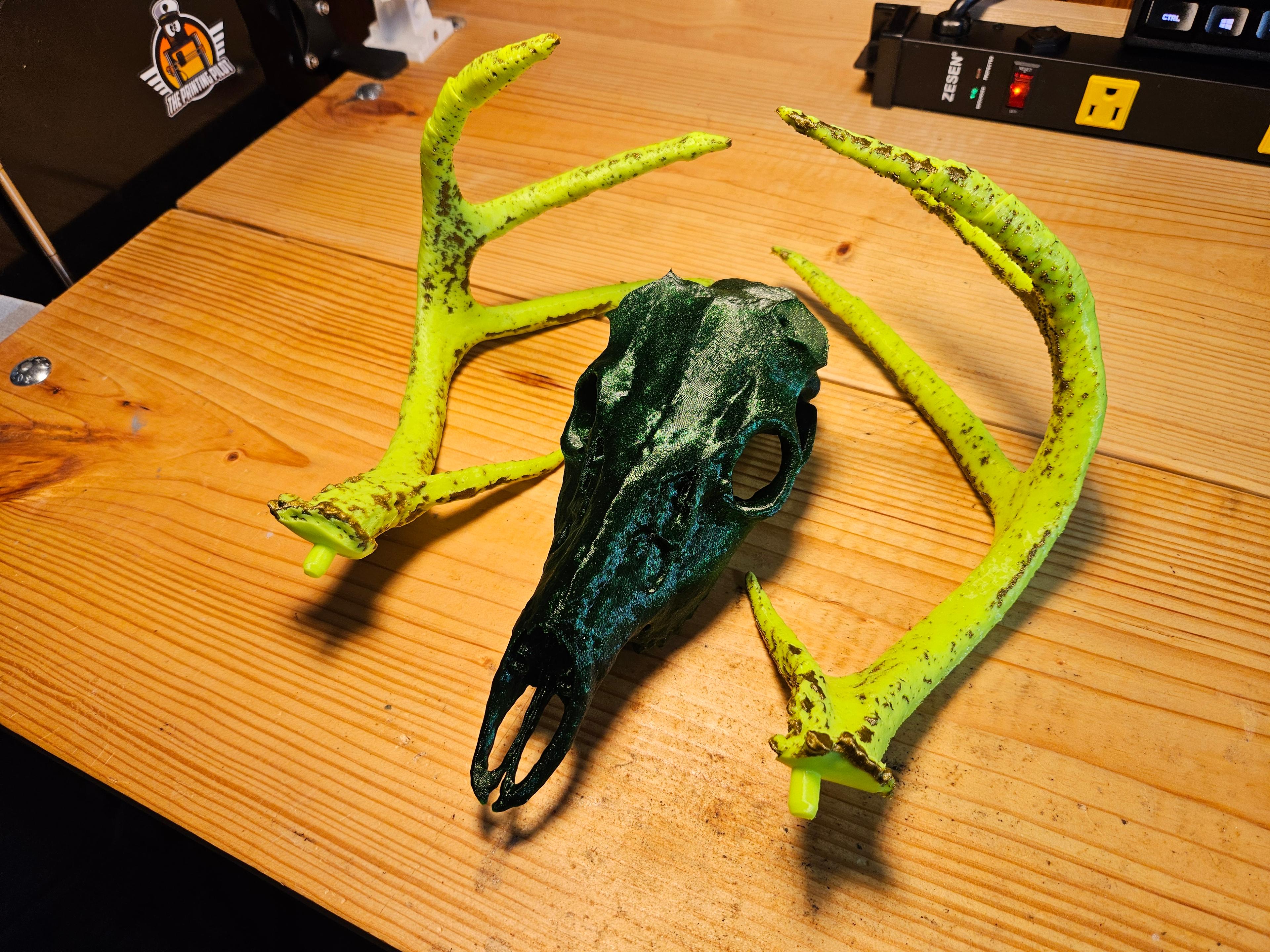 White-tailed Deer Skull - Multi-Part 3d model