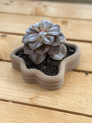 Rope succulent planter bowl 3d model