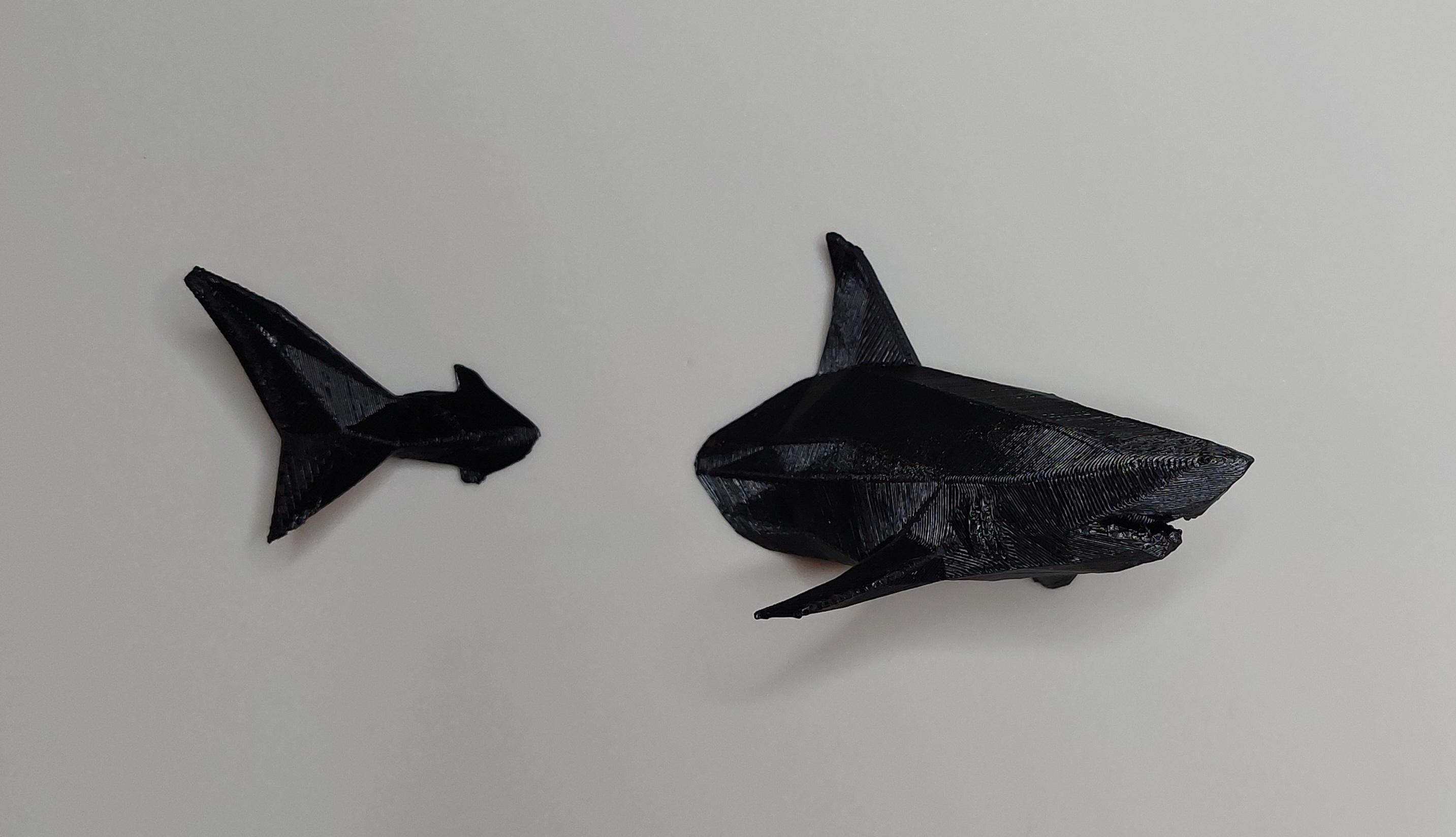 Shark Fridge Magnet 3d model