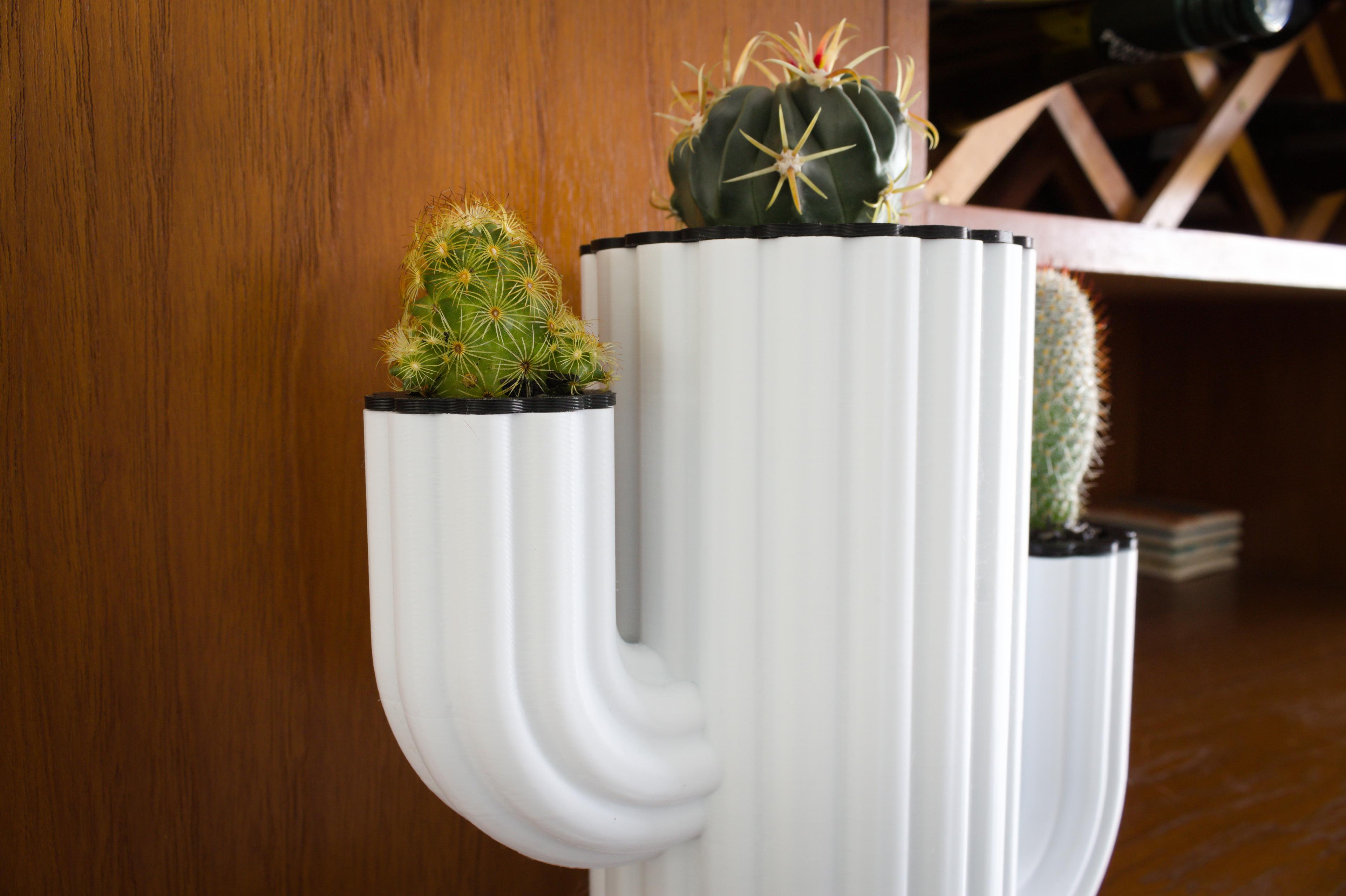 Cactus Planter – Cactus Inception 3d model