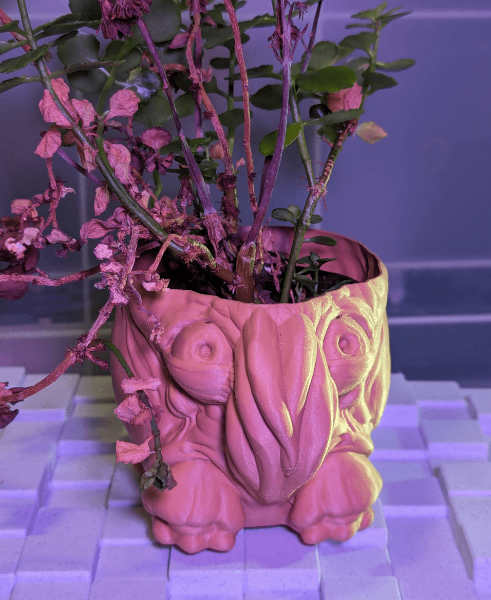 Saggy Shoggoth Vase-Mode Planter 3d model