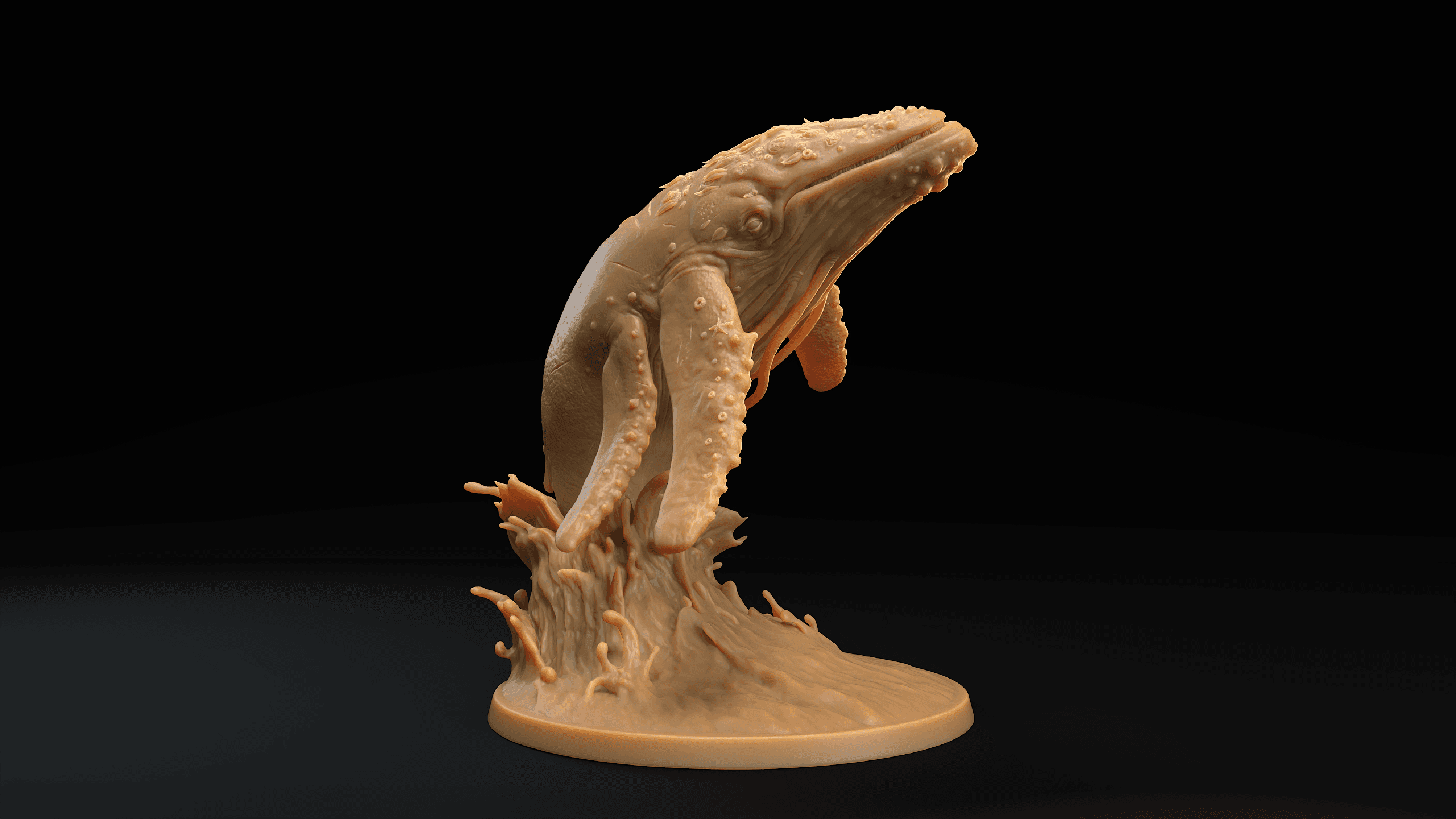 Whalemental  3d model