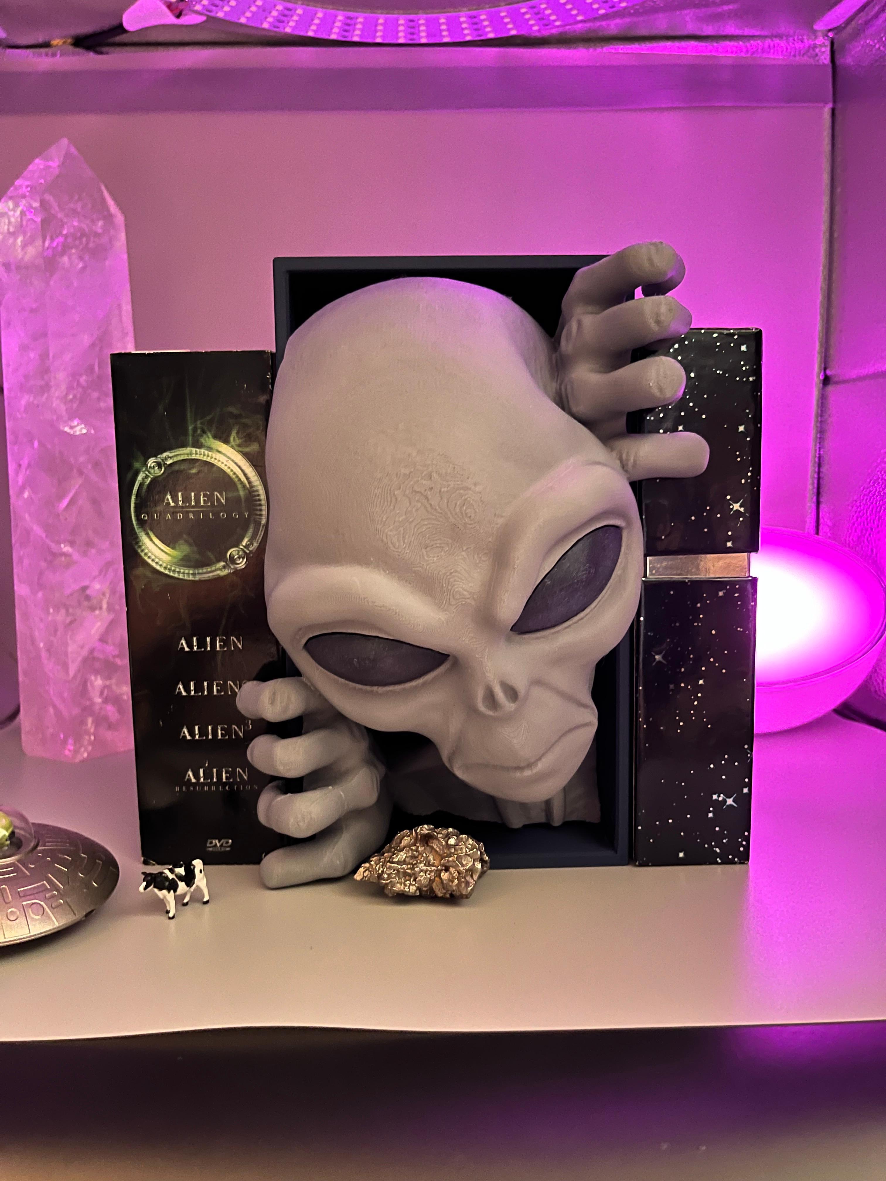Alien Book Nook / Multi Parts  3d model