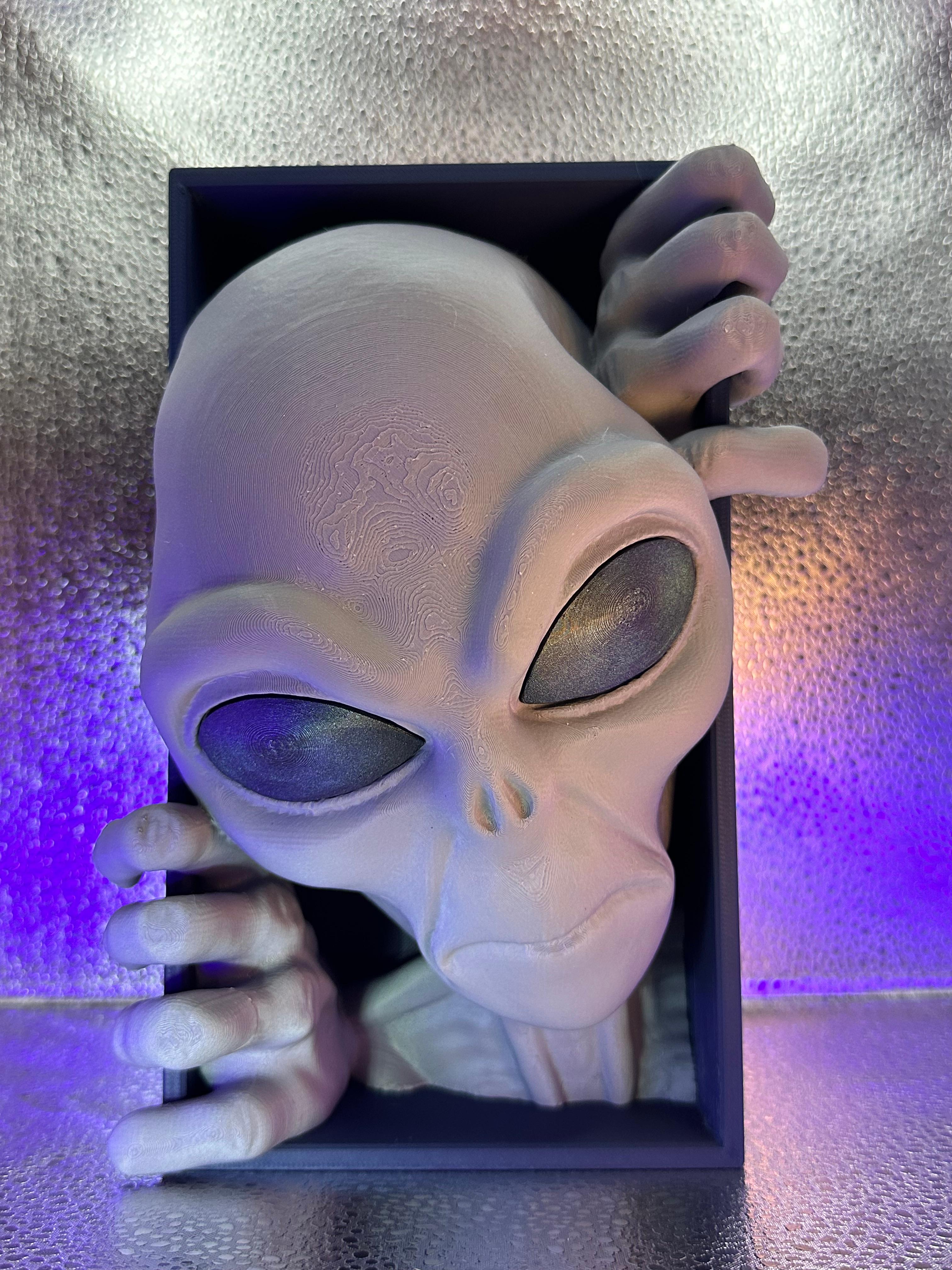 Alien Book Nook / Multi Parts  - FDM Printed chameleon paint used on eyes - 3d model