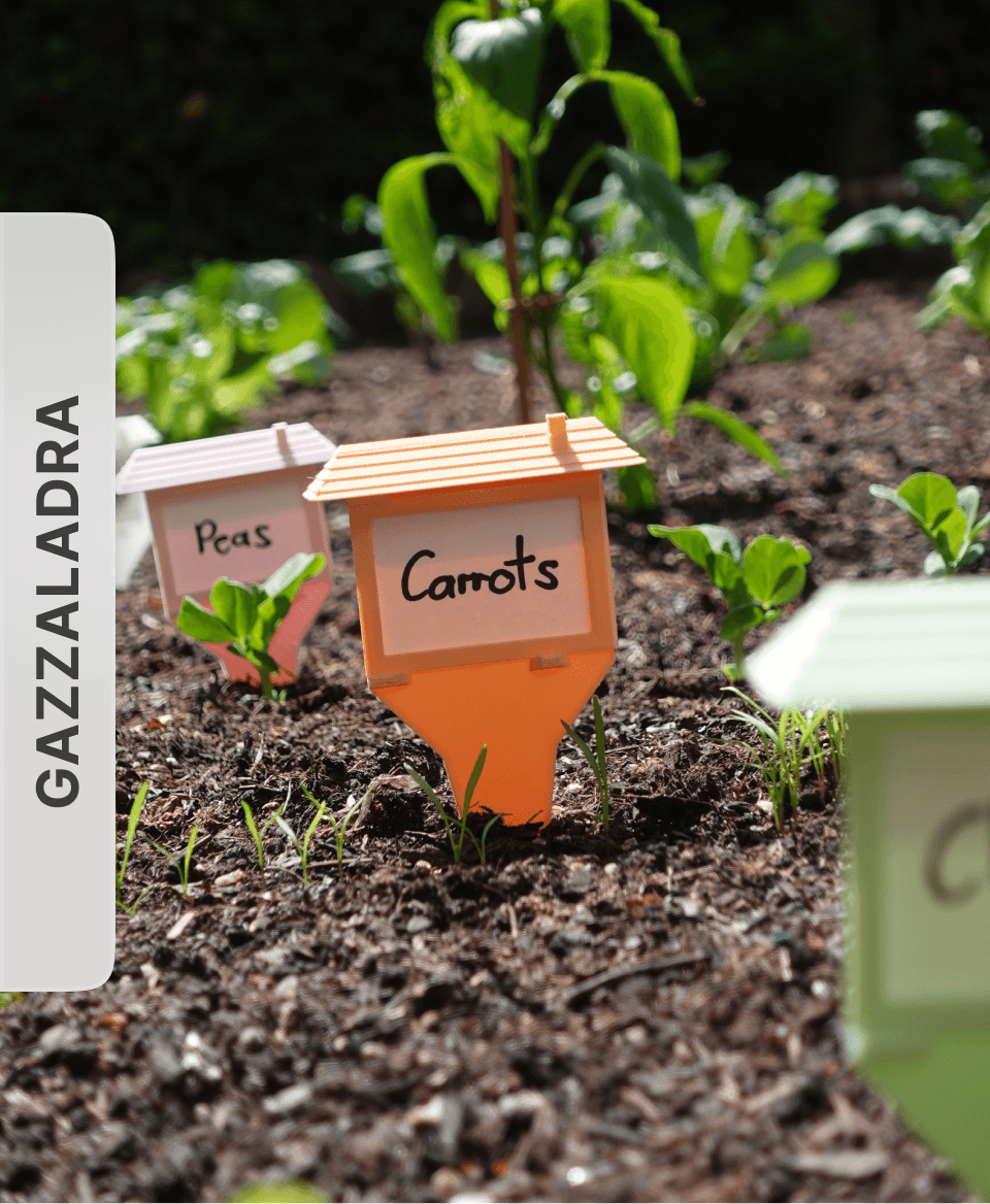 Plant label by gazzaladra 3d model