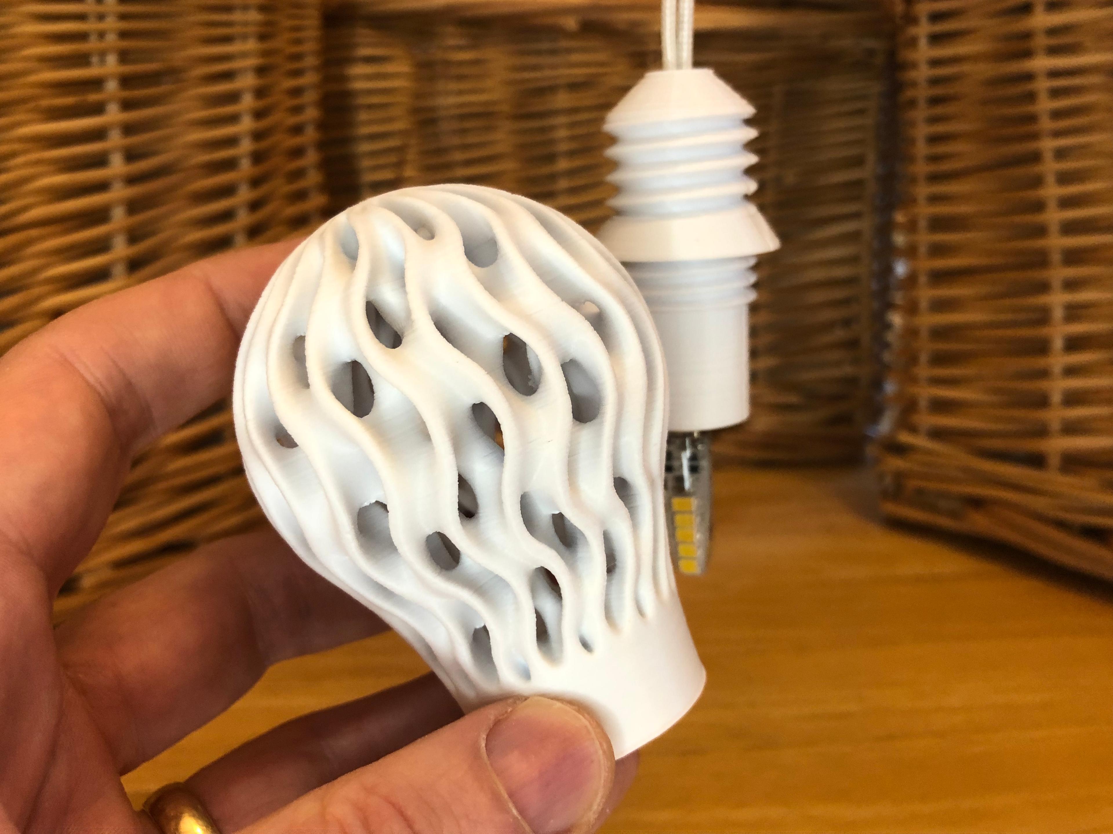 Spring Bulb 1 3d model