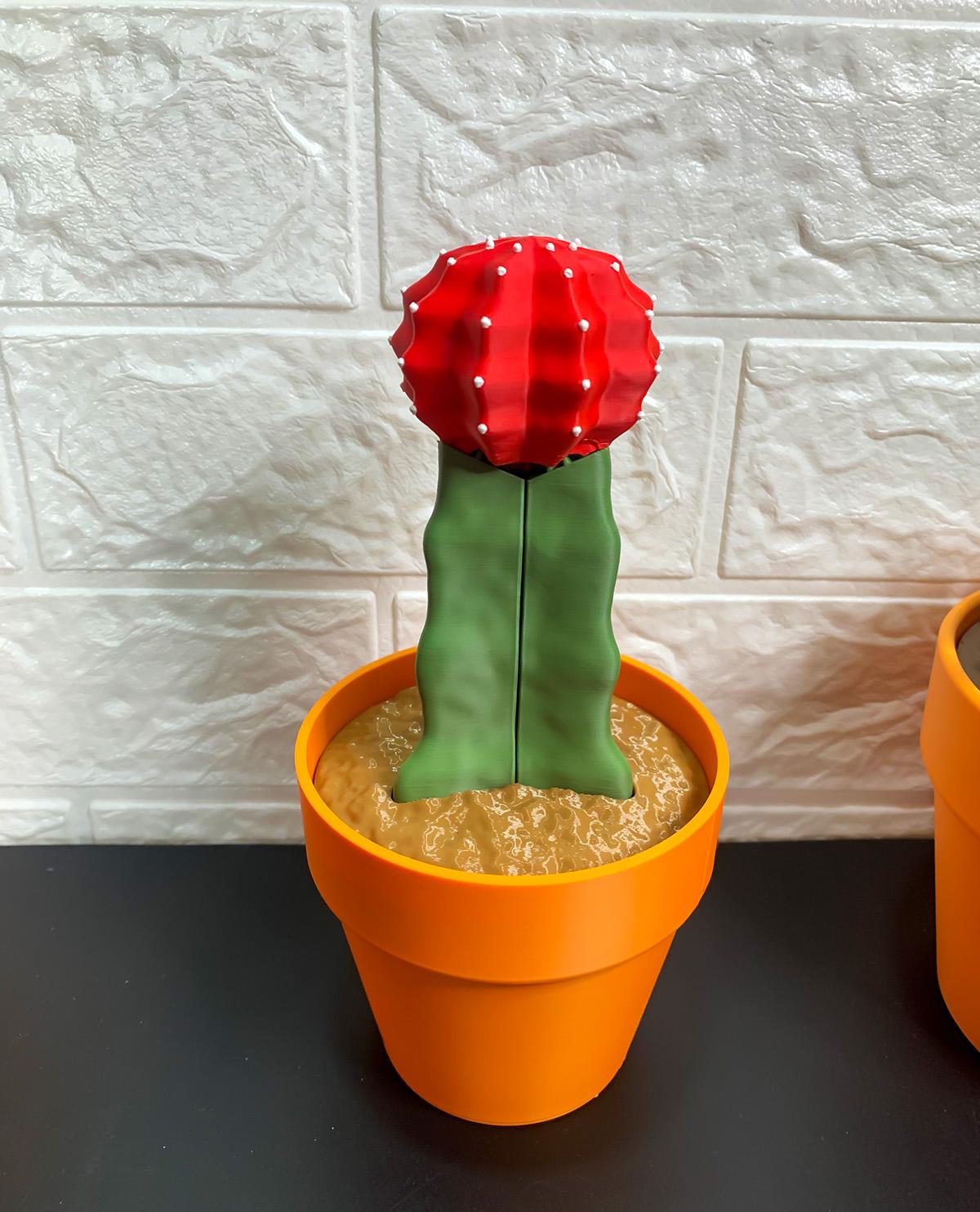 Phoney Cactus - The Moon Cactus Phone Stand - i love this little plant：） - 3d model