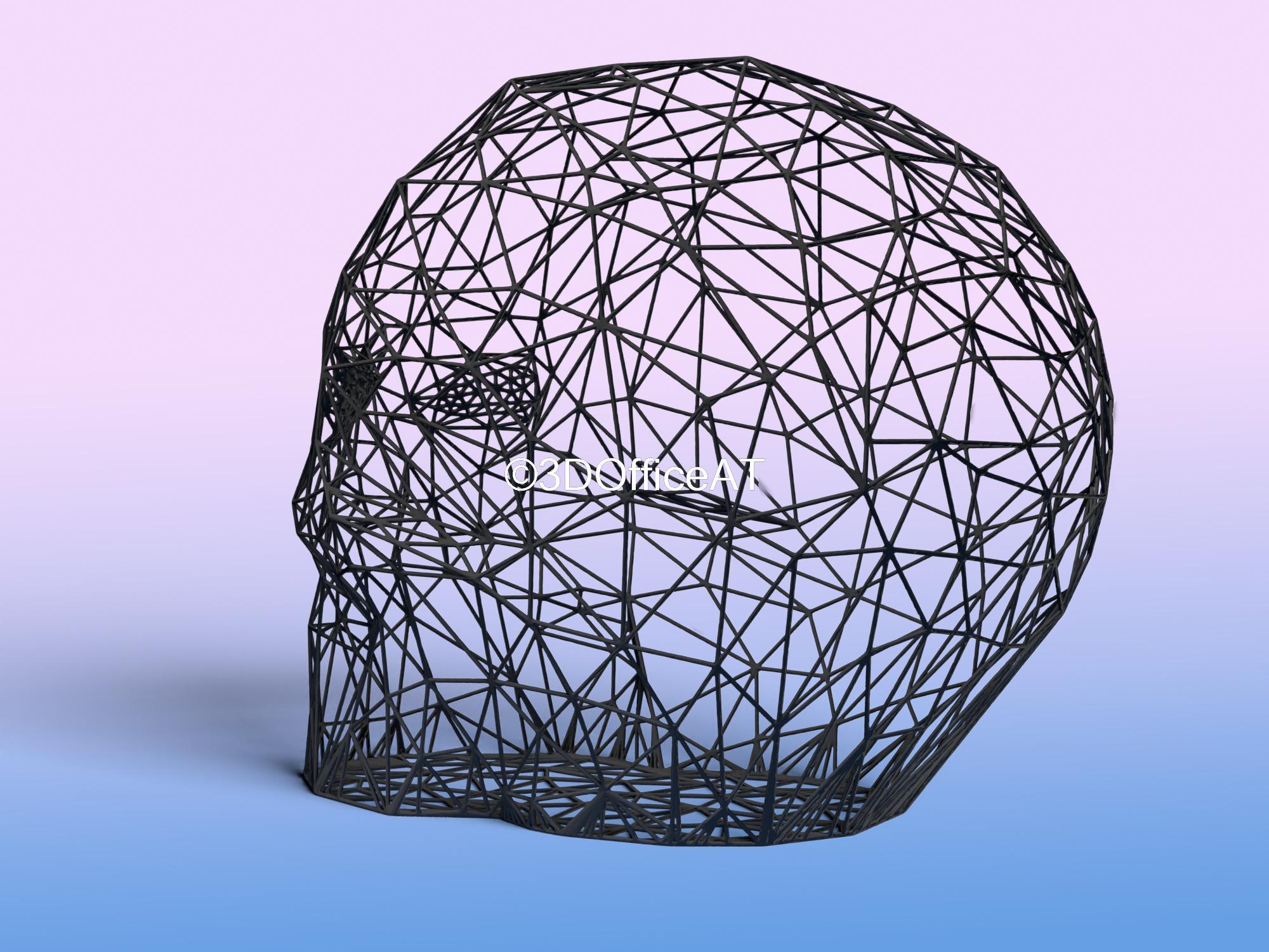Skull Head Wire Art 3d model