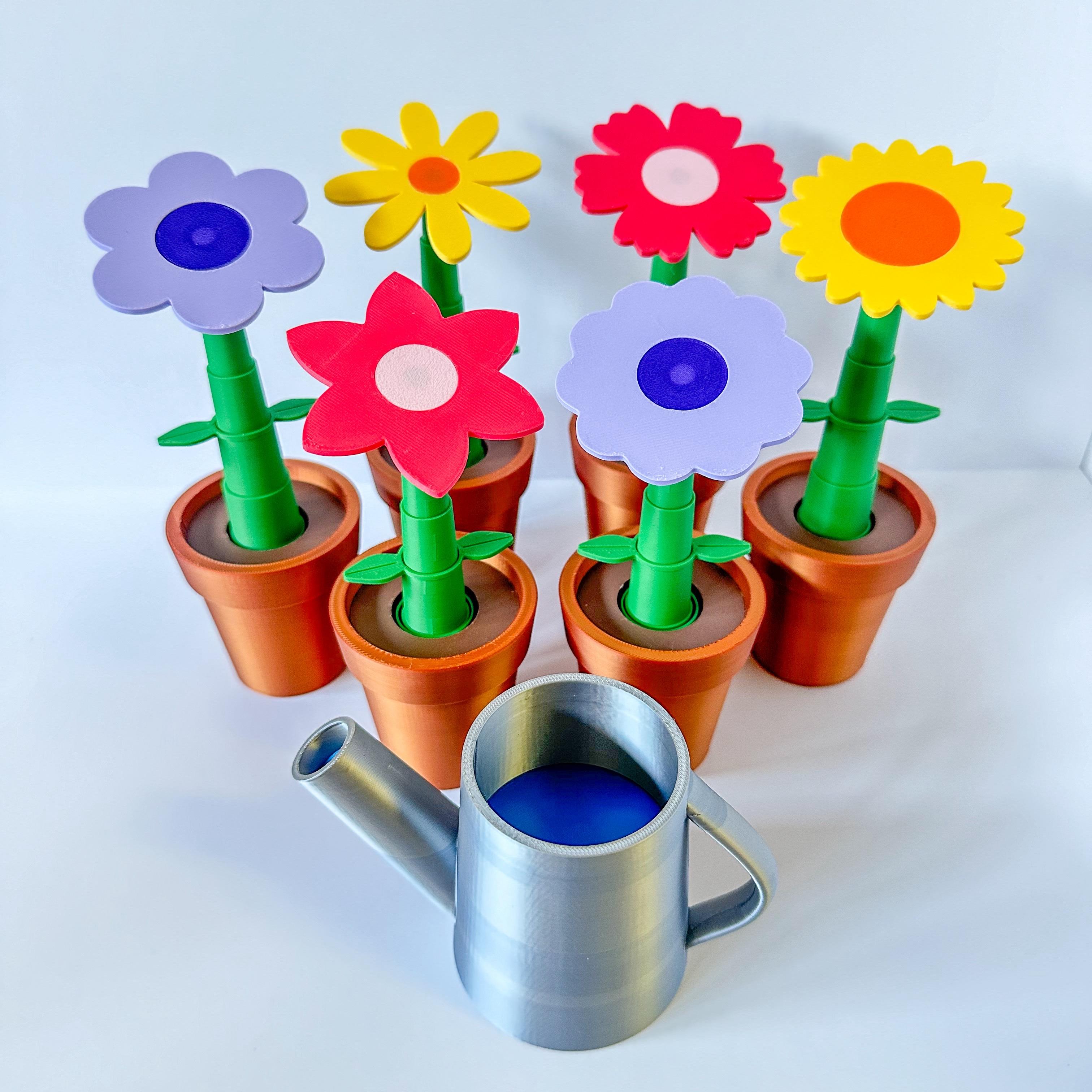 Potted Flowers and Watering Can 3d model