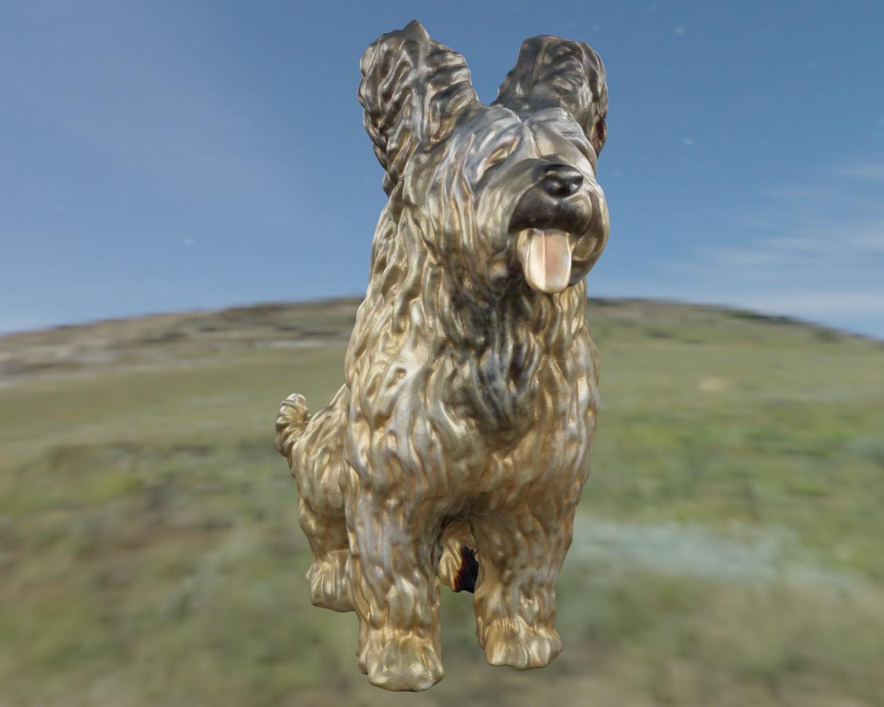 Briard berger de brie 3d model