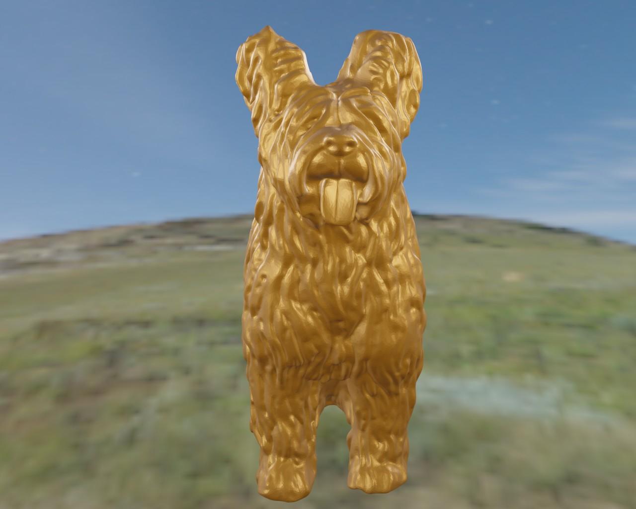 Briard berger de brie 3d model